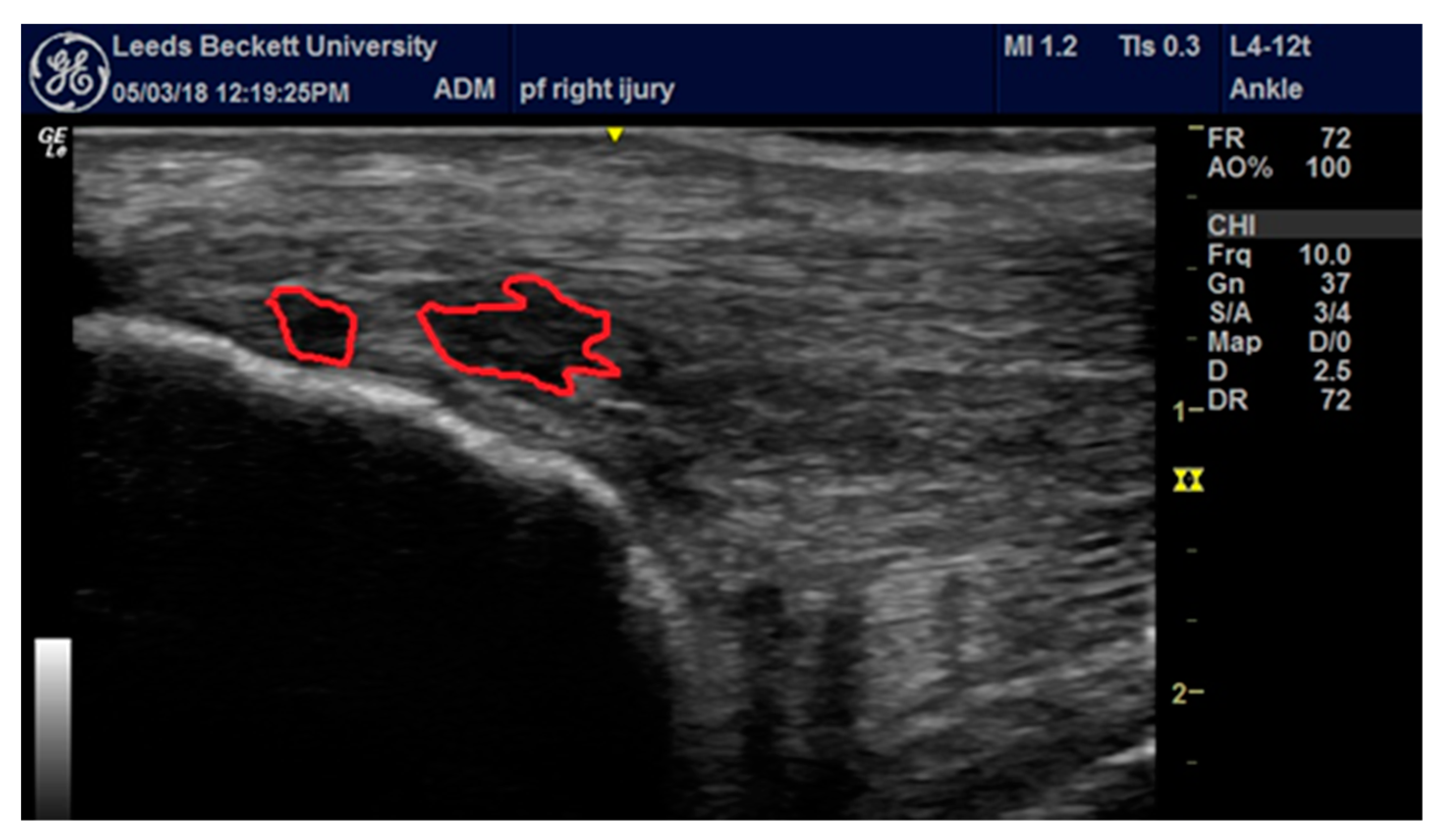 Medicina 56 00021 g001 Medicina 56 00021 g001