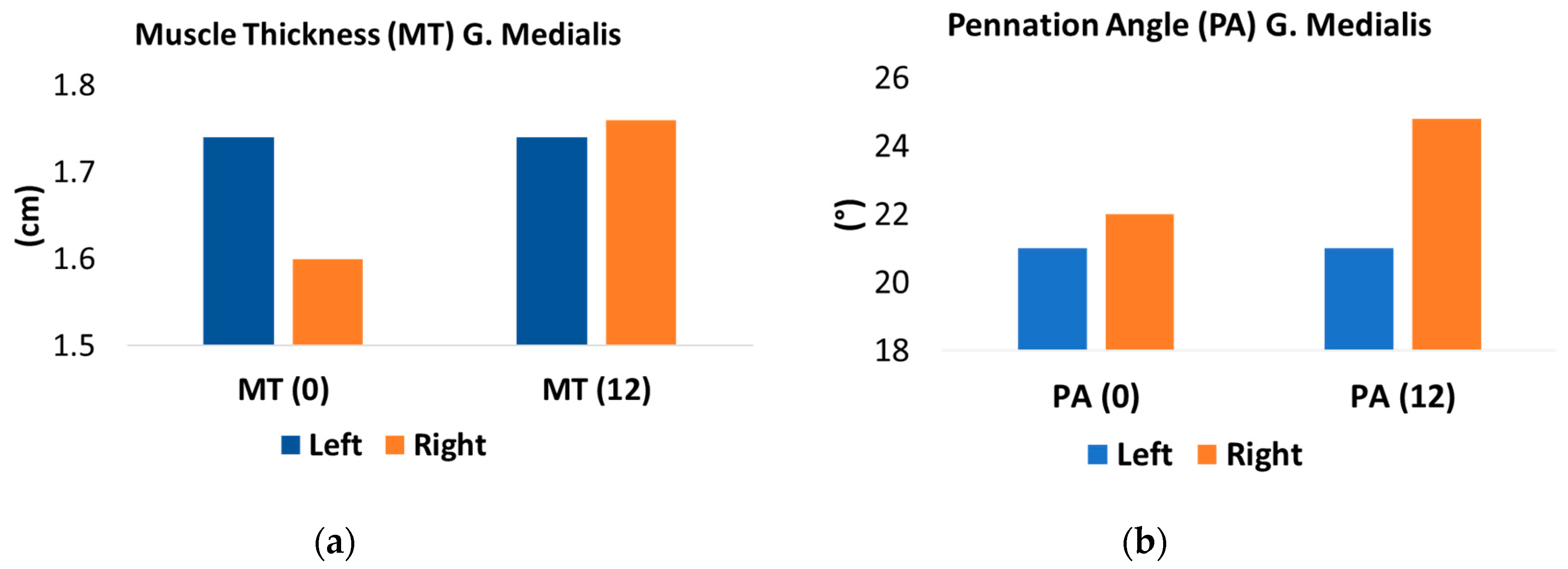 Medicina 56 00021 g004a Medicina 56 00021 g004a