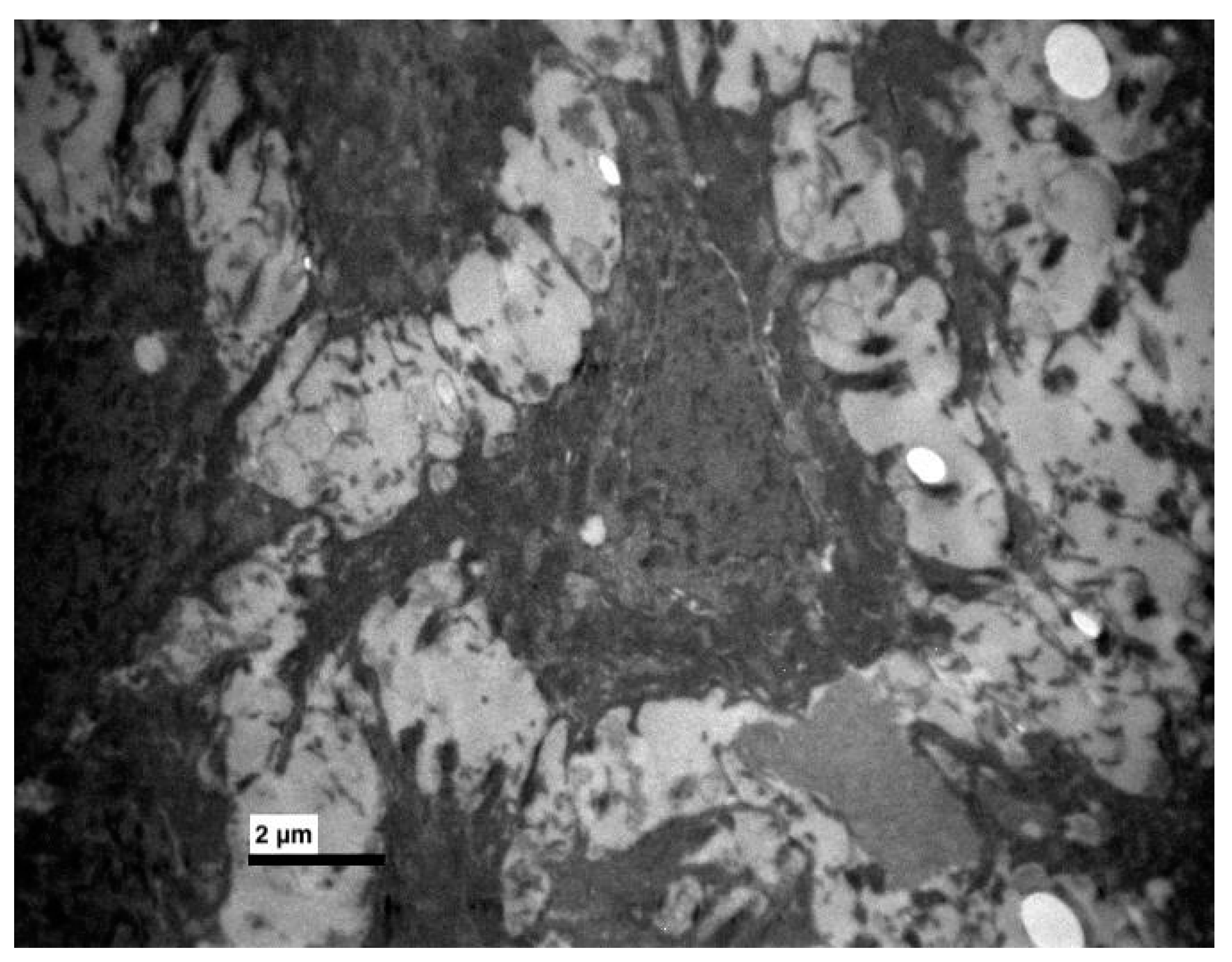 Medicina 56 00051 g006