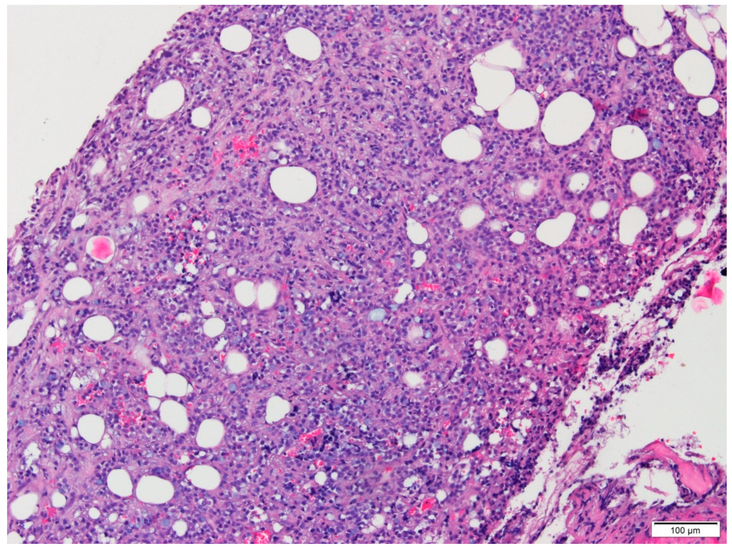 Medicina 56 00062 g001