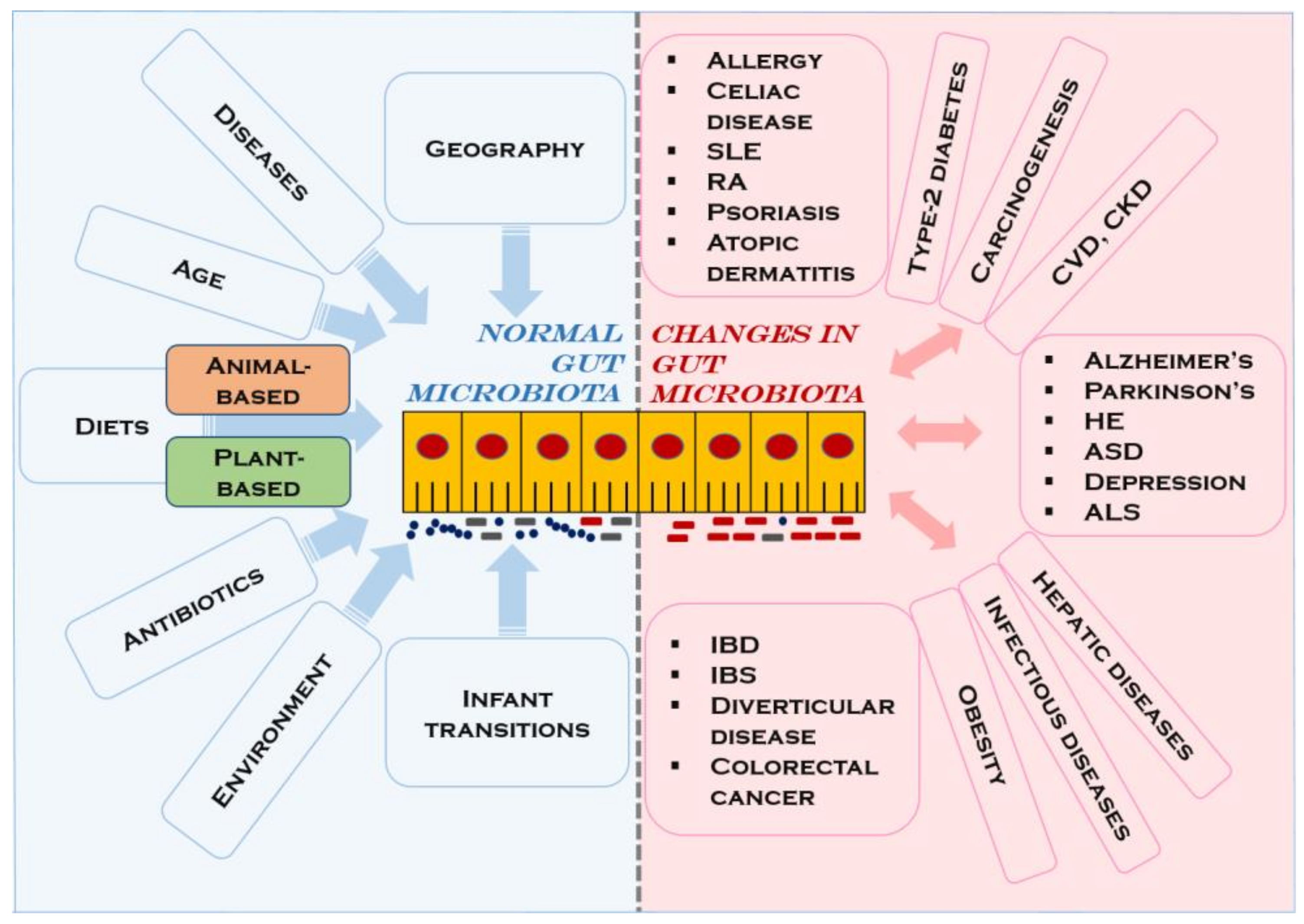 Medicina 56 00088 g001