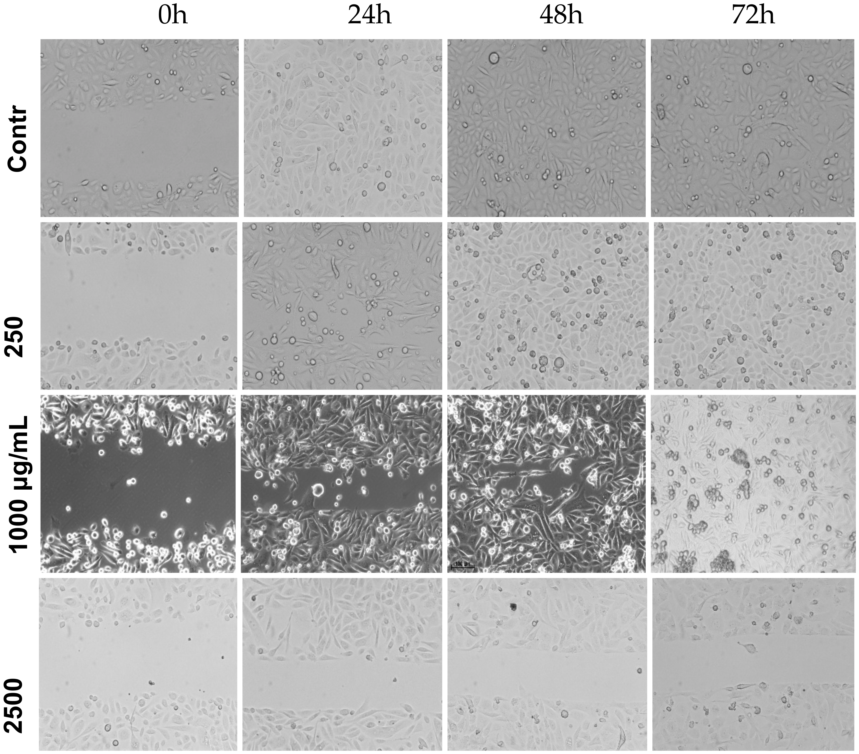 Medicina 56 00090 g005