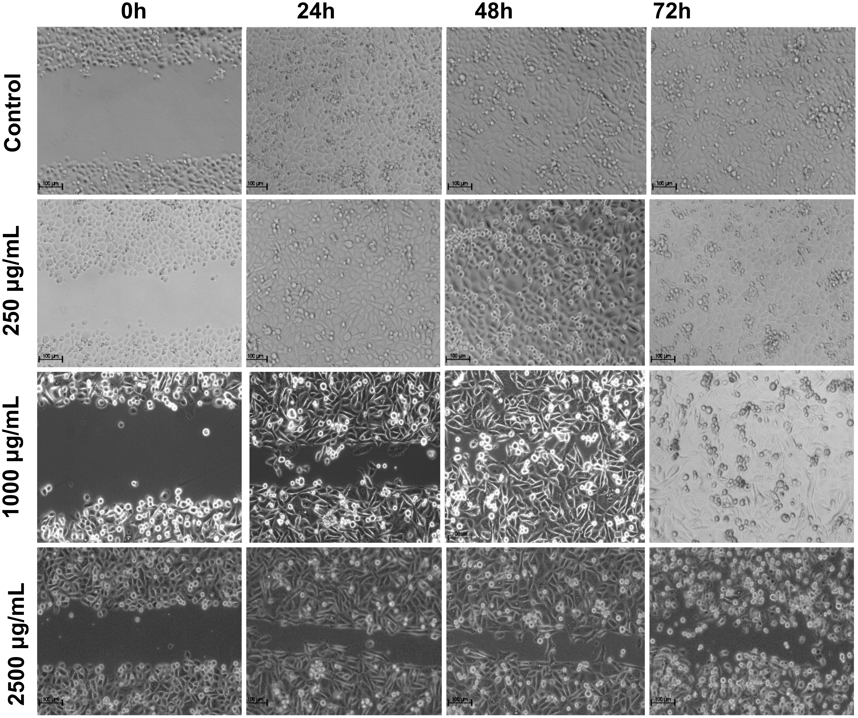 Medicina 56 00090 g006