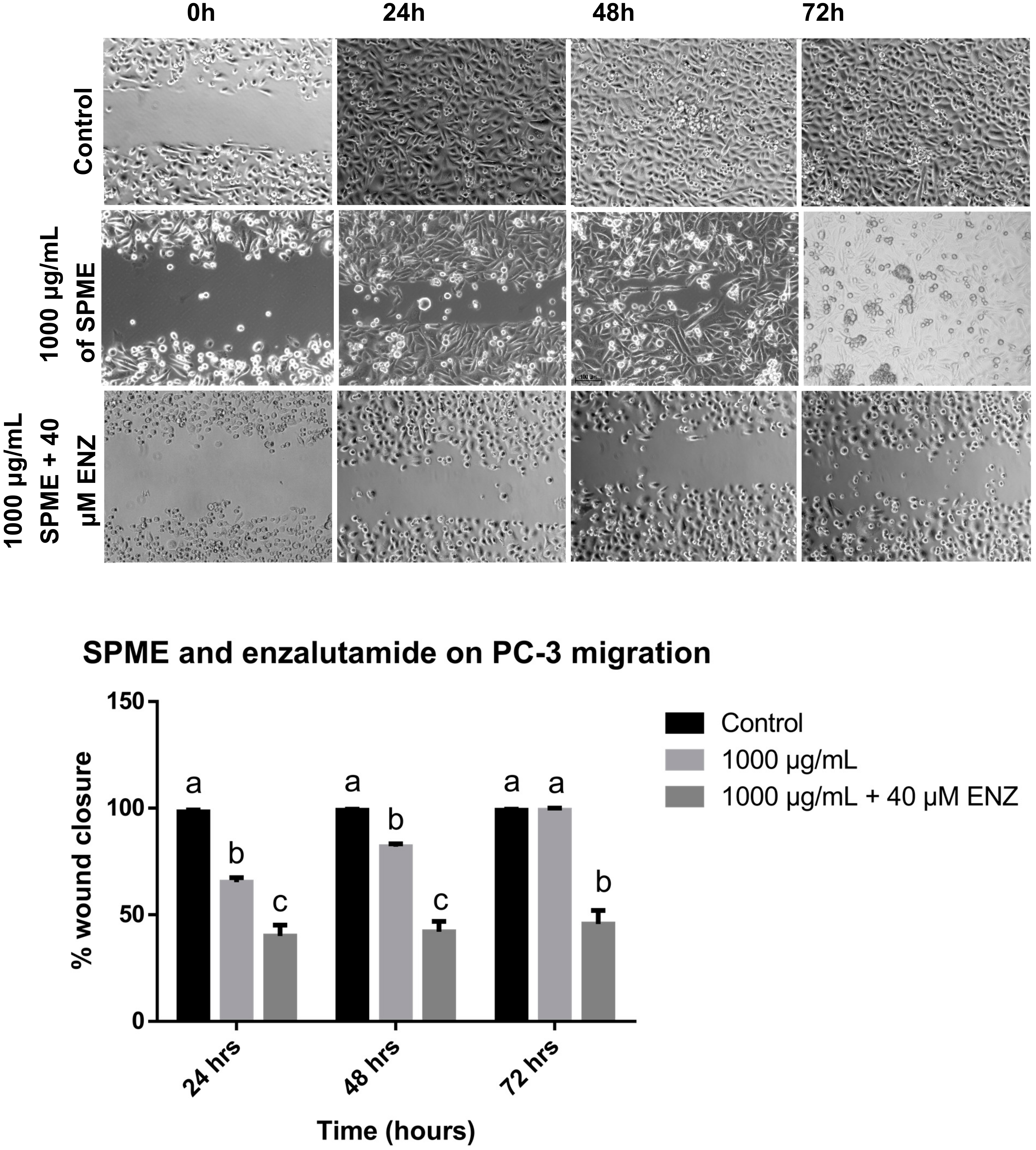 Medicina 56 00090 g008
