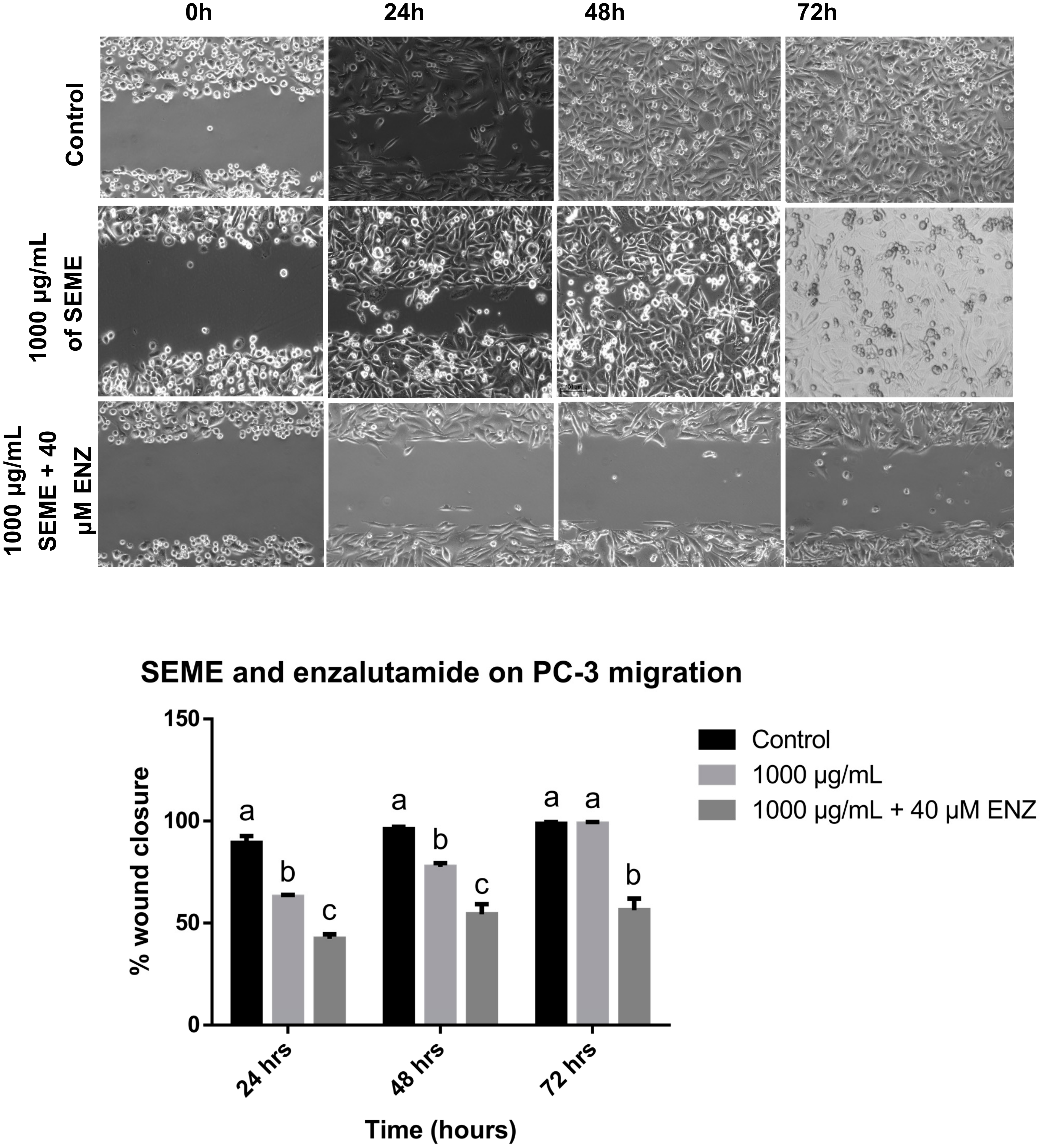 Medicina 56 00090 g009