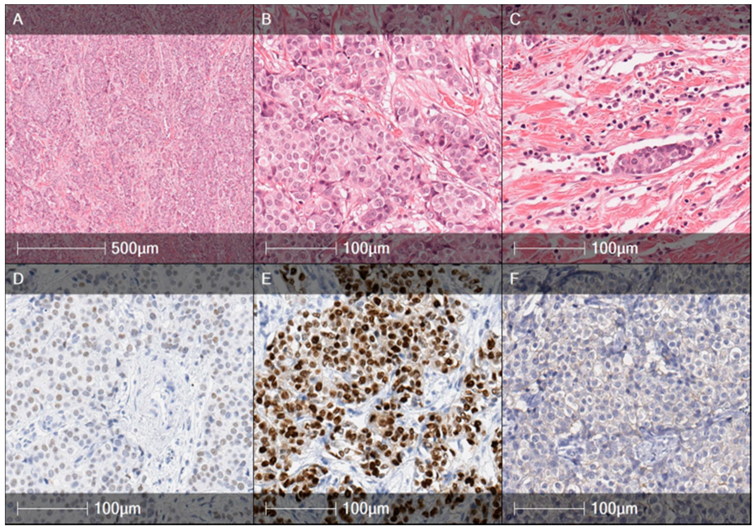 Medicina 56 00119 g003