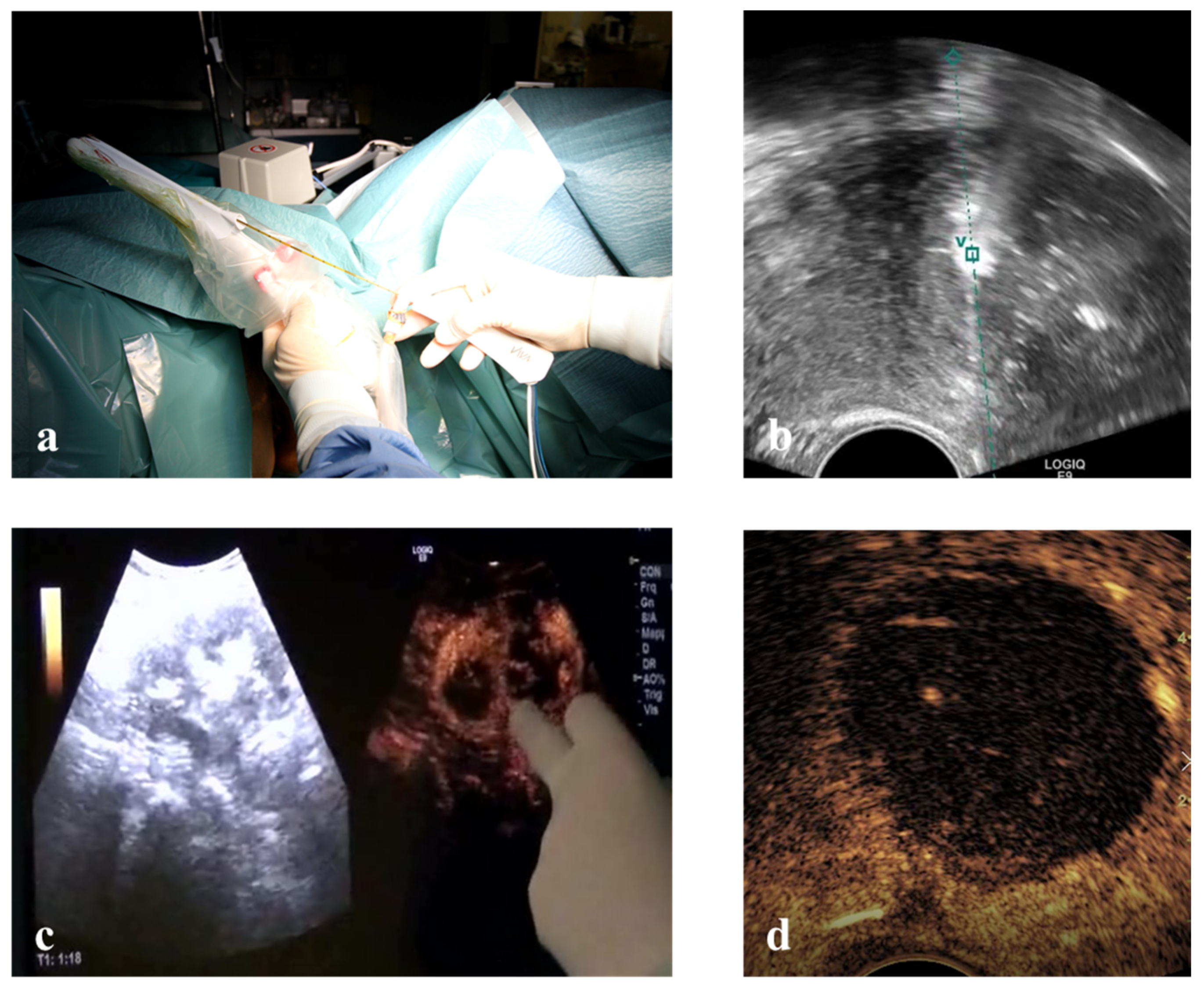 Medicina 56 00122 g002