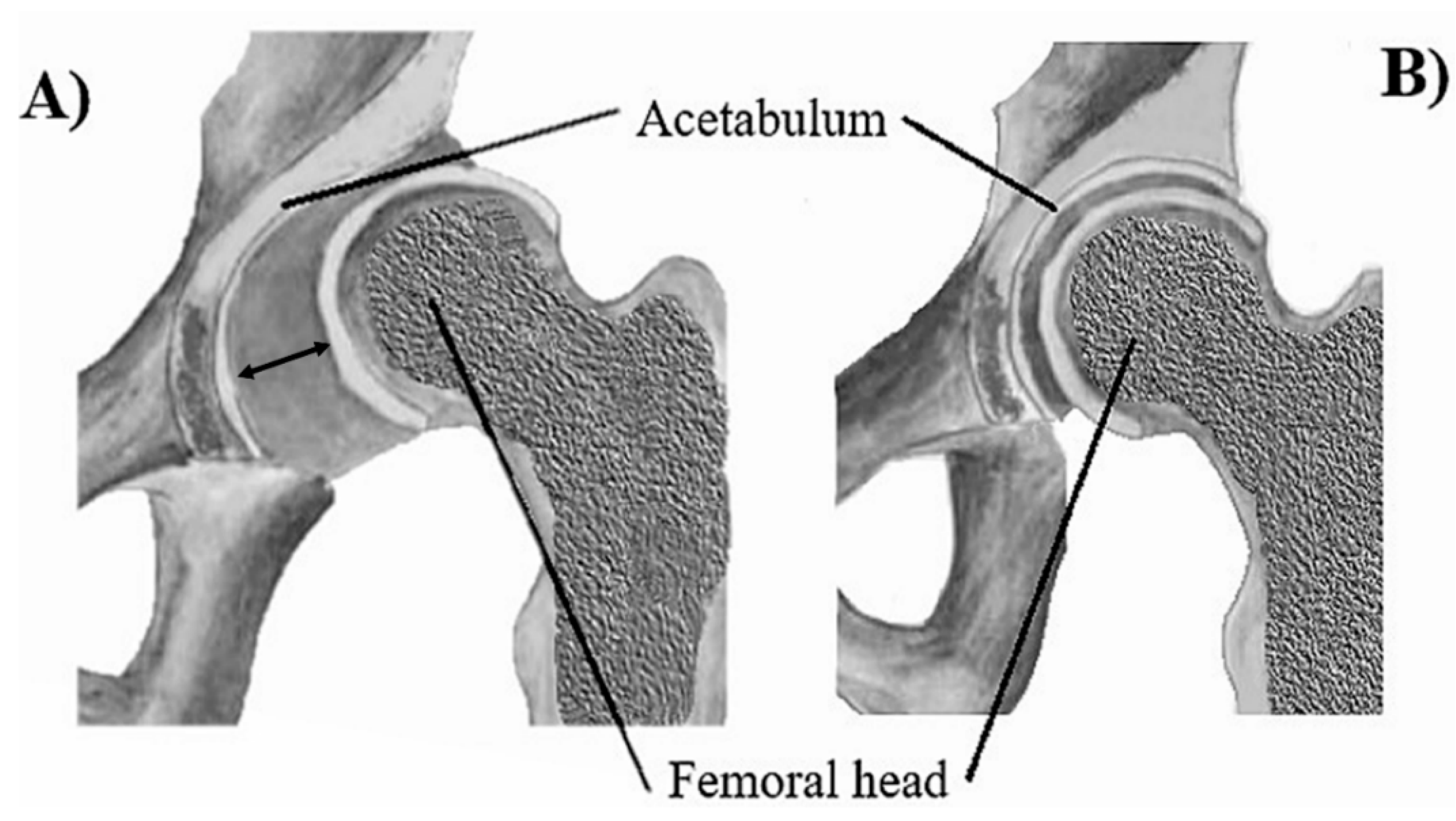 Medicina 56 00153 g001 Medicina 56 00153 g001