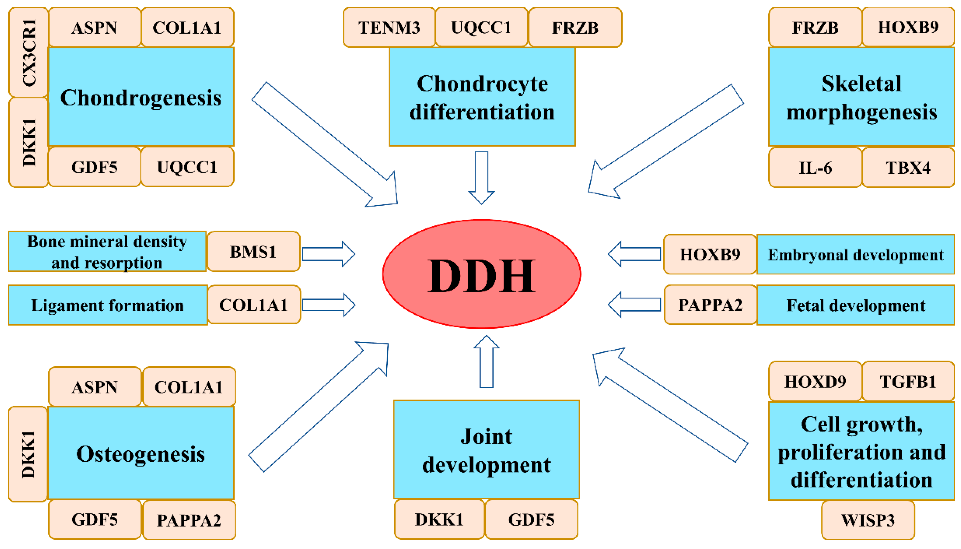 Medicina 56 00153 g002 Medicina 56 00153 g002