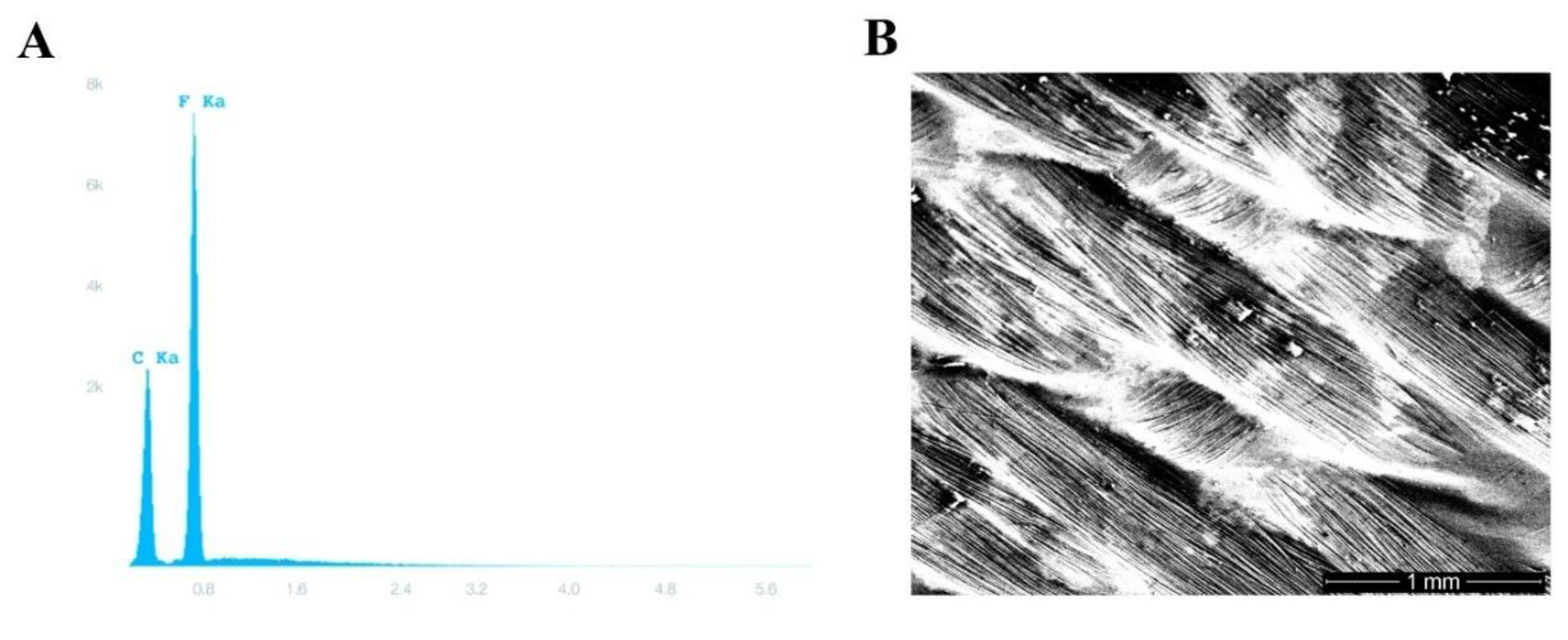 Medicina 56 00216 g002