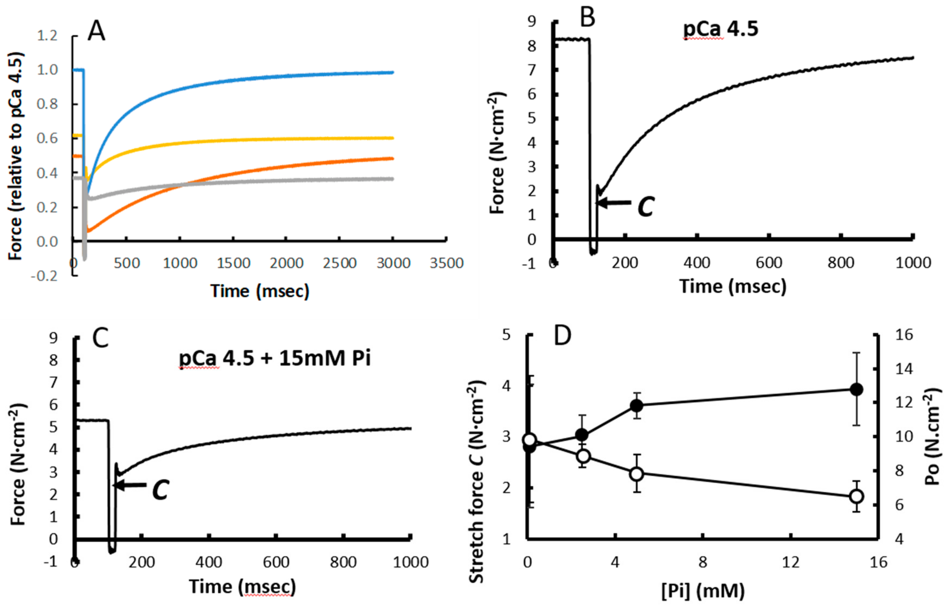 Medicina 56 00249 g003