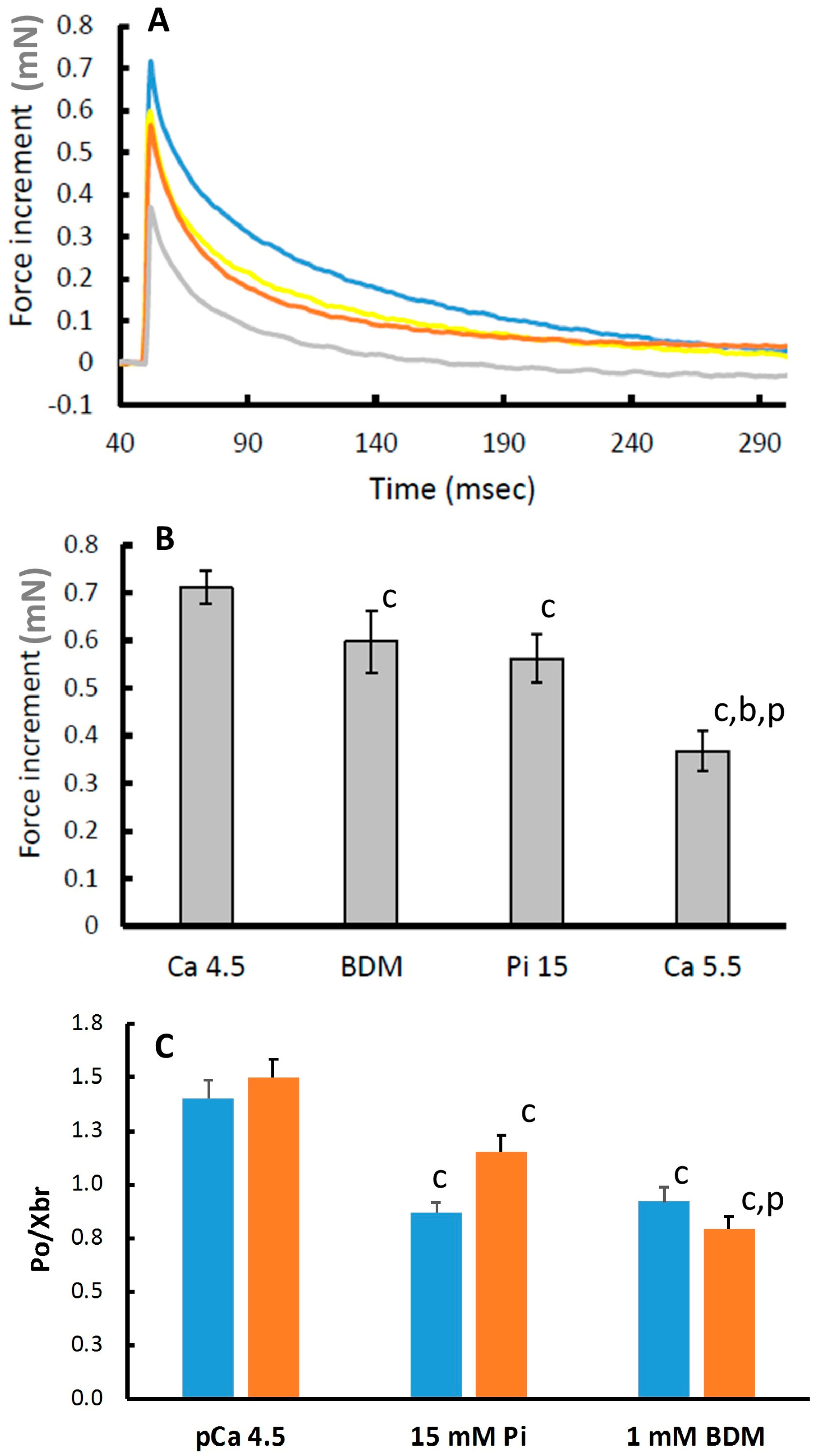 Medicina 56 00249 g004
