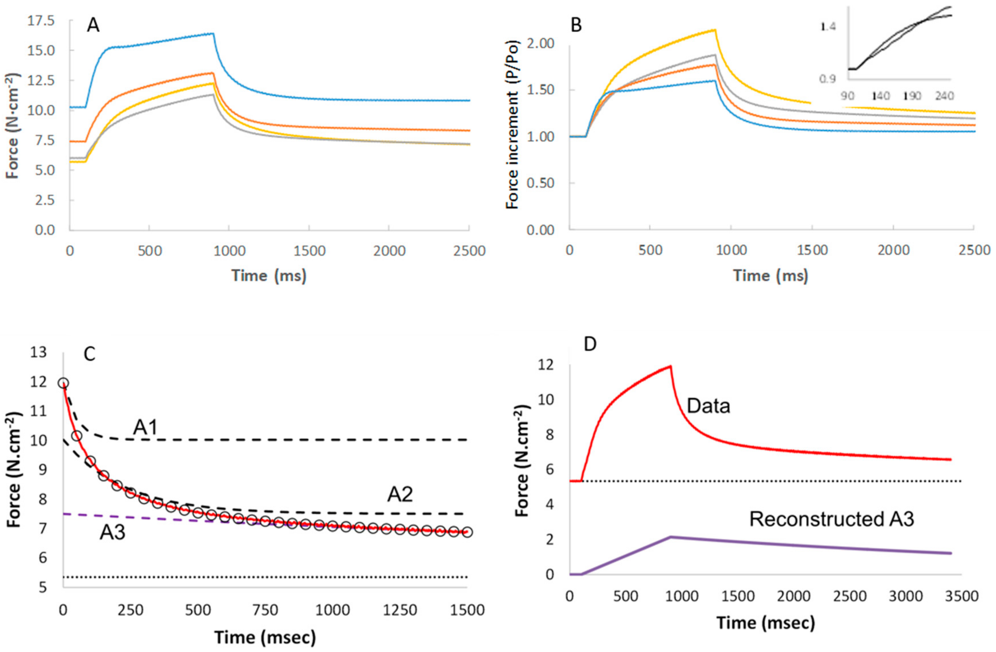 Medicina 56 00249 g005