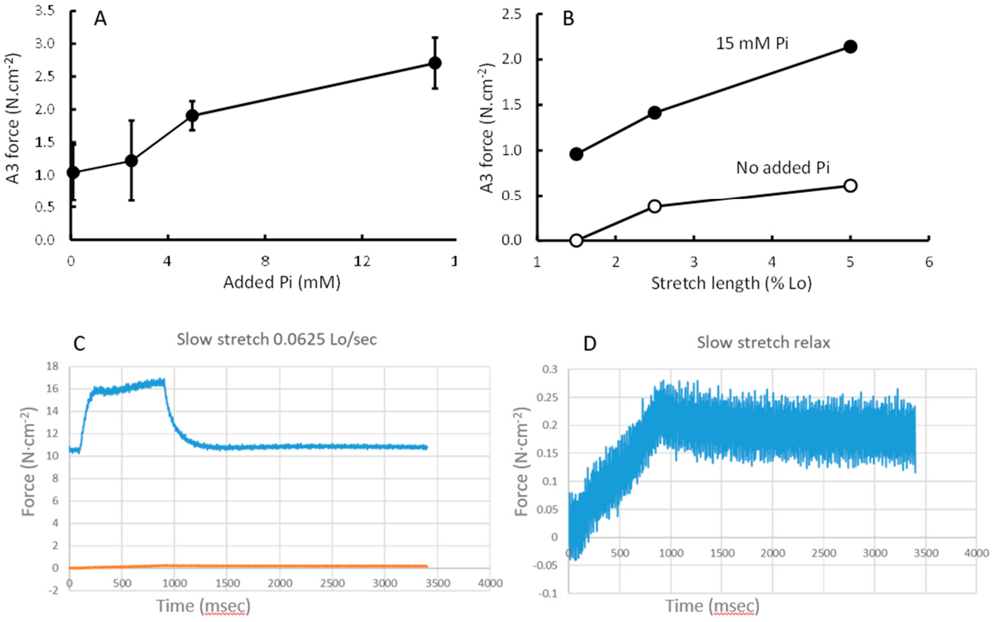 Medicina 56 00249 g006