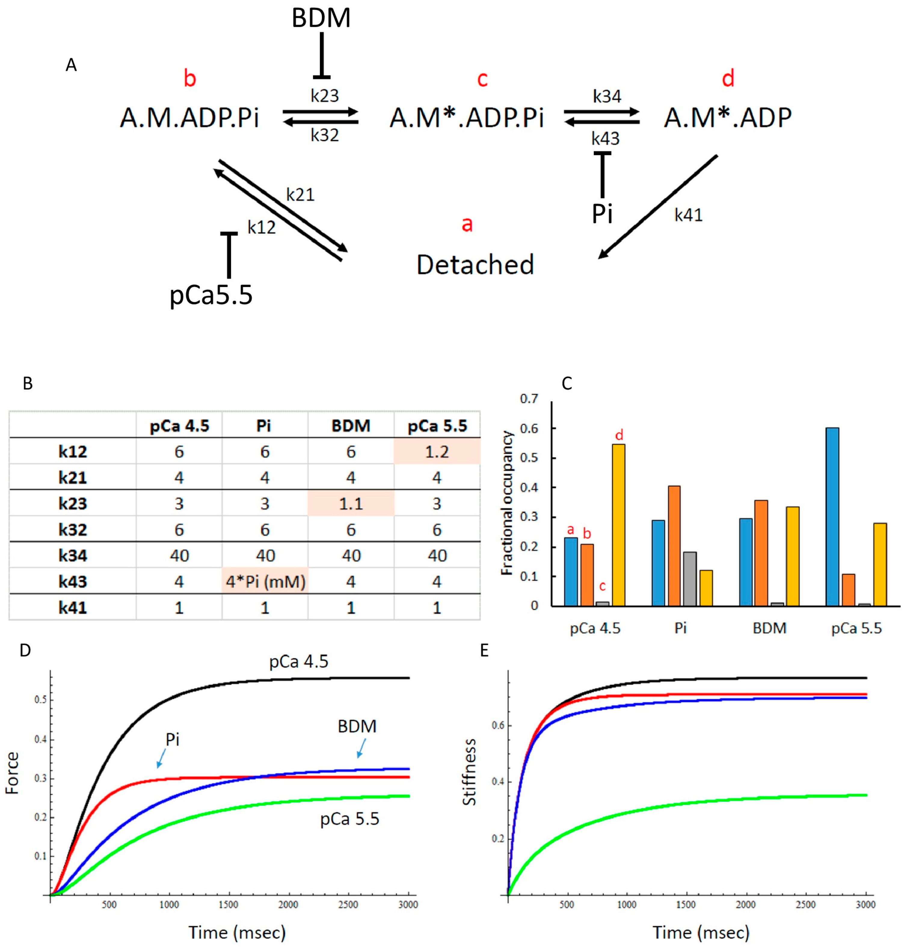Medicina 56 00249 g007