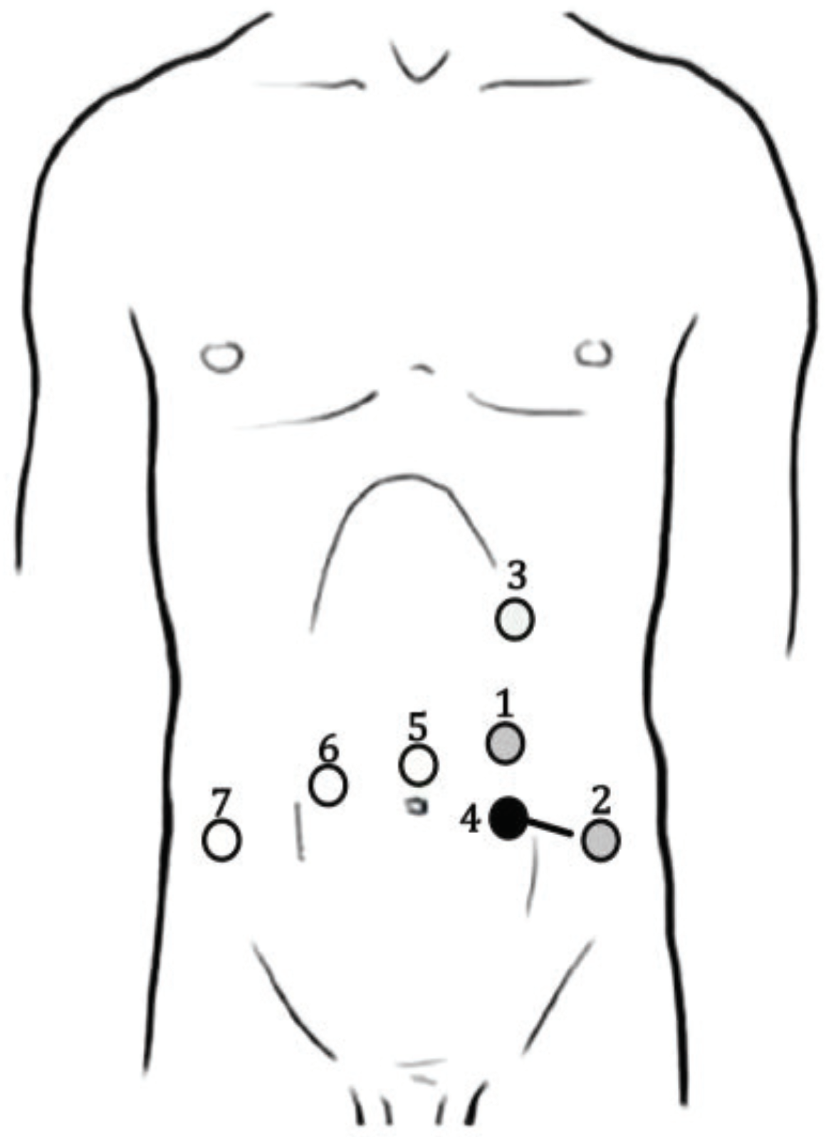 Medicina 56 00318 g003