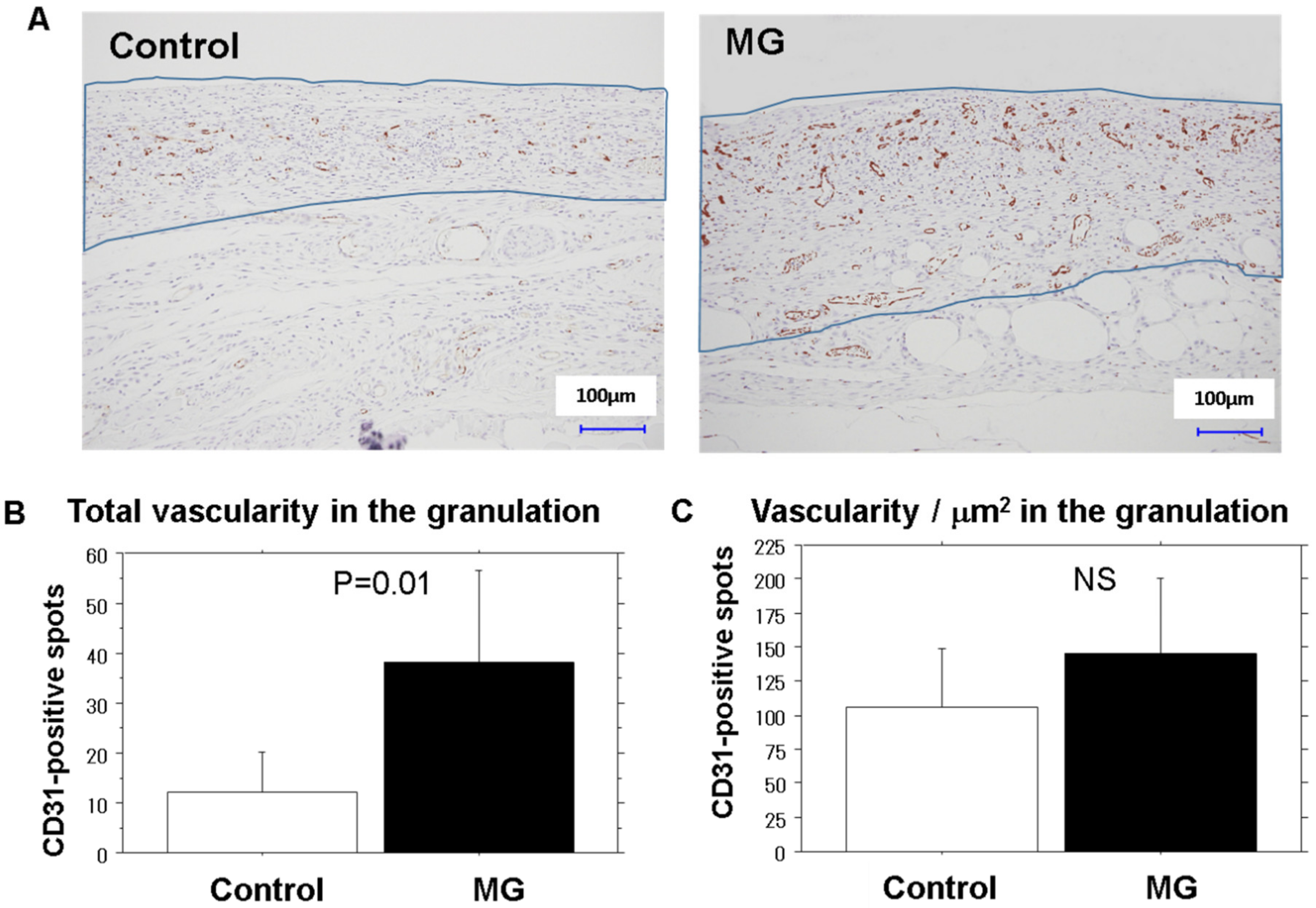 Medicina 56 00321 g002