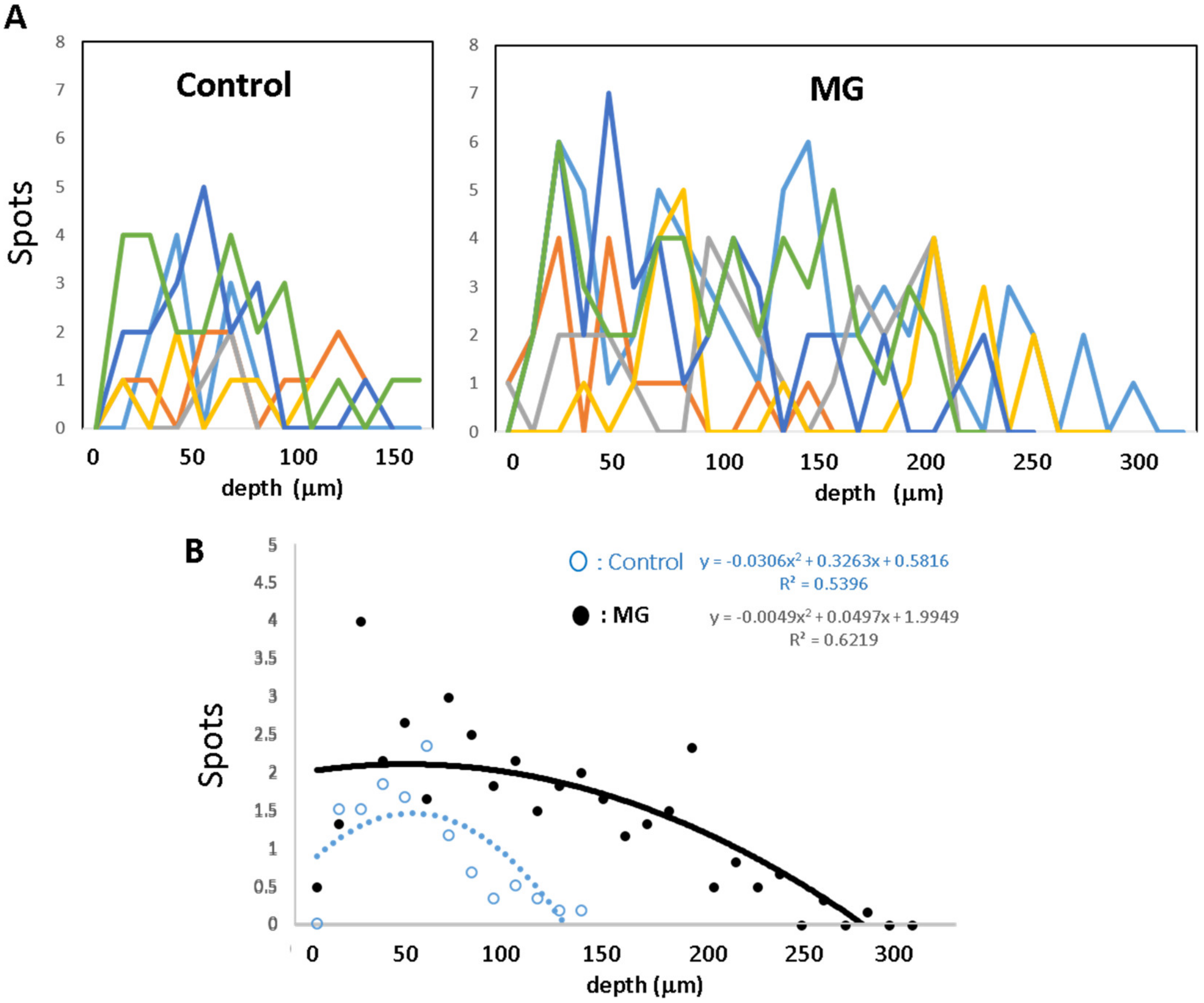 Medicina 56 00321 g003