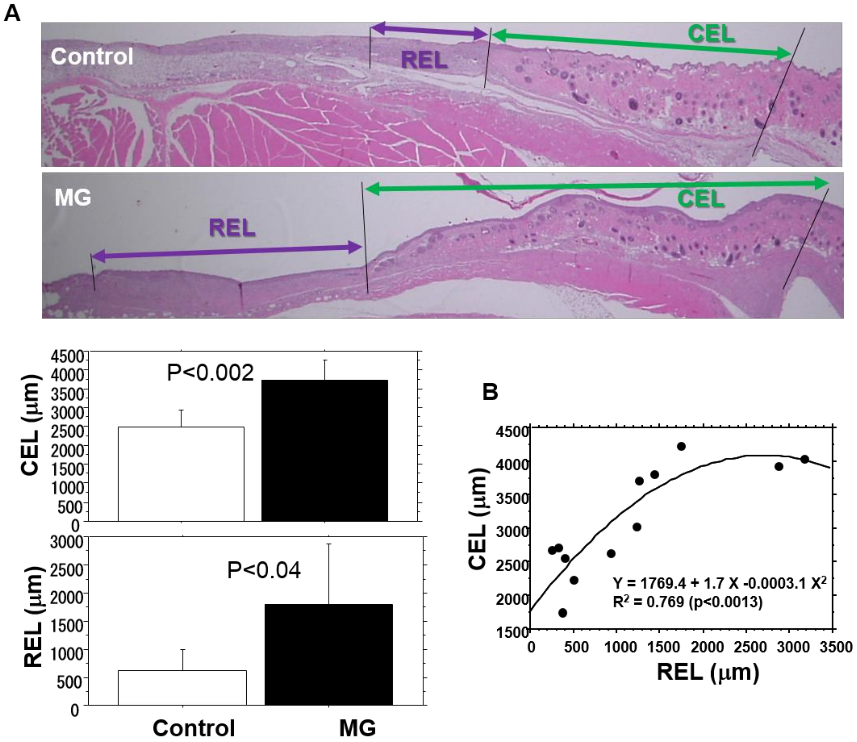 Medicina 56 00321 g004
