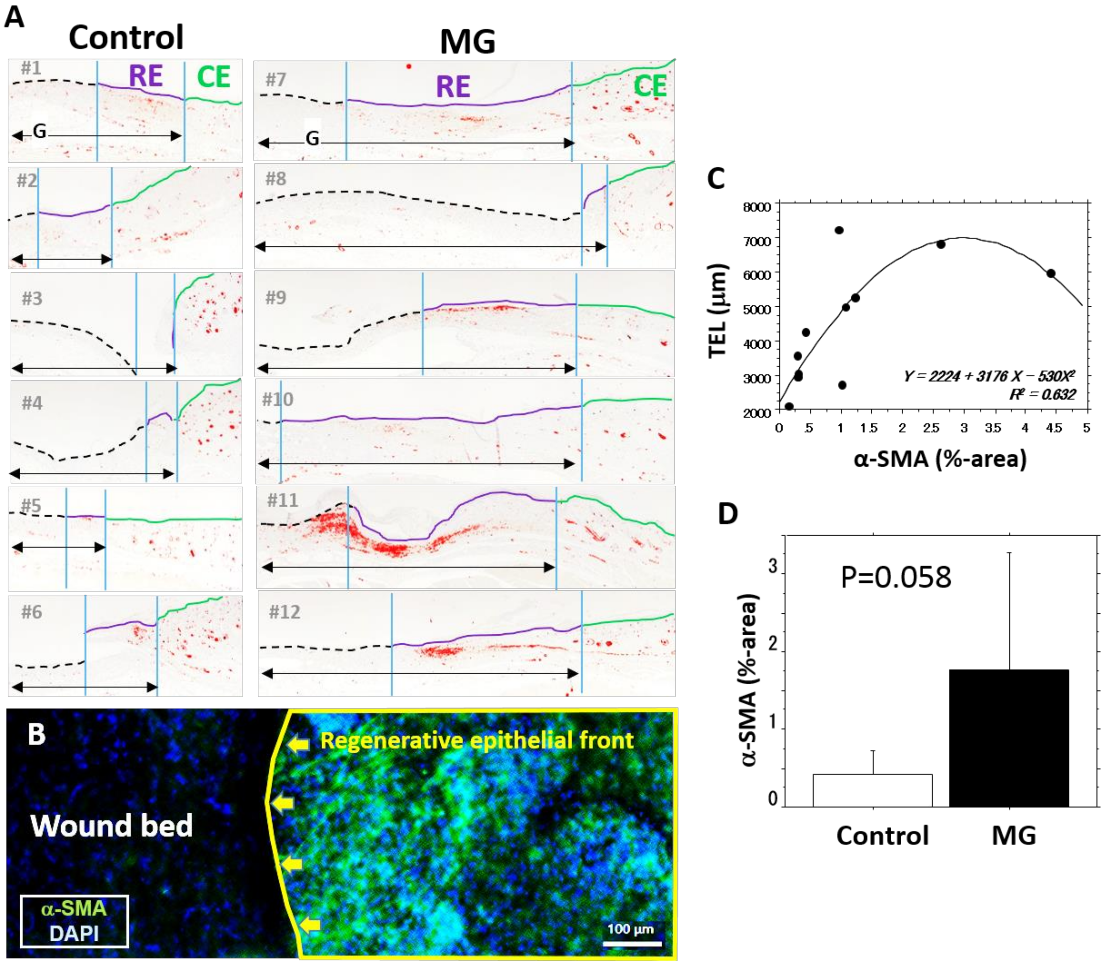 Medicina 56 00321 g005