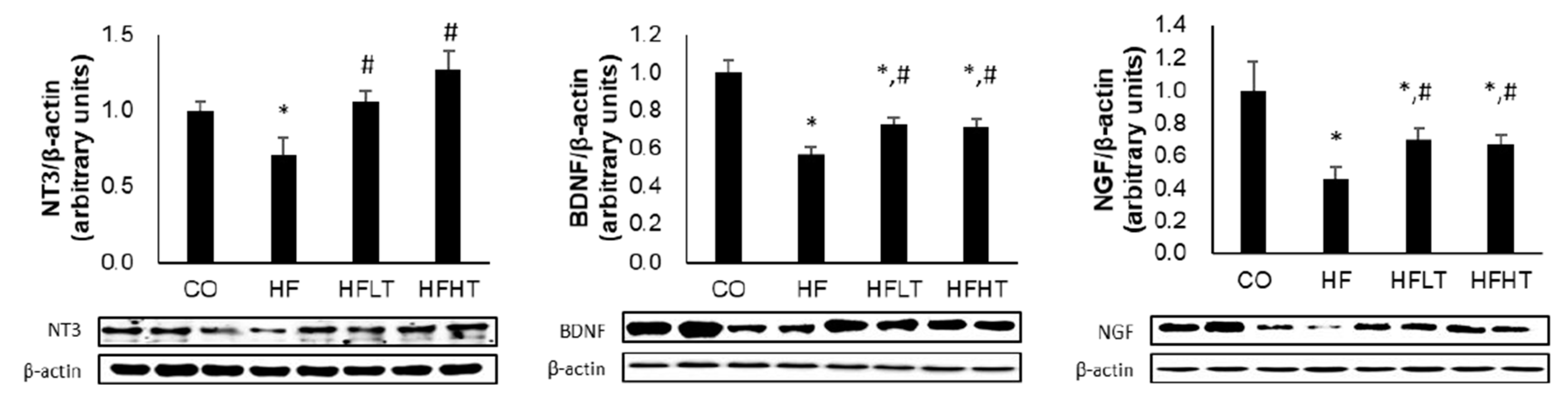 Medicina 56 00331 g005