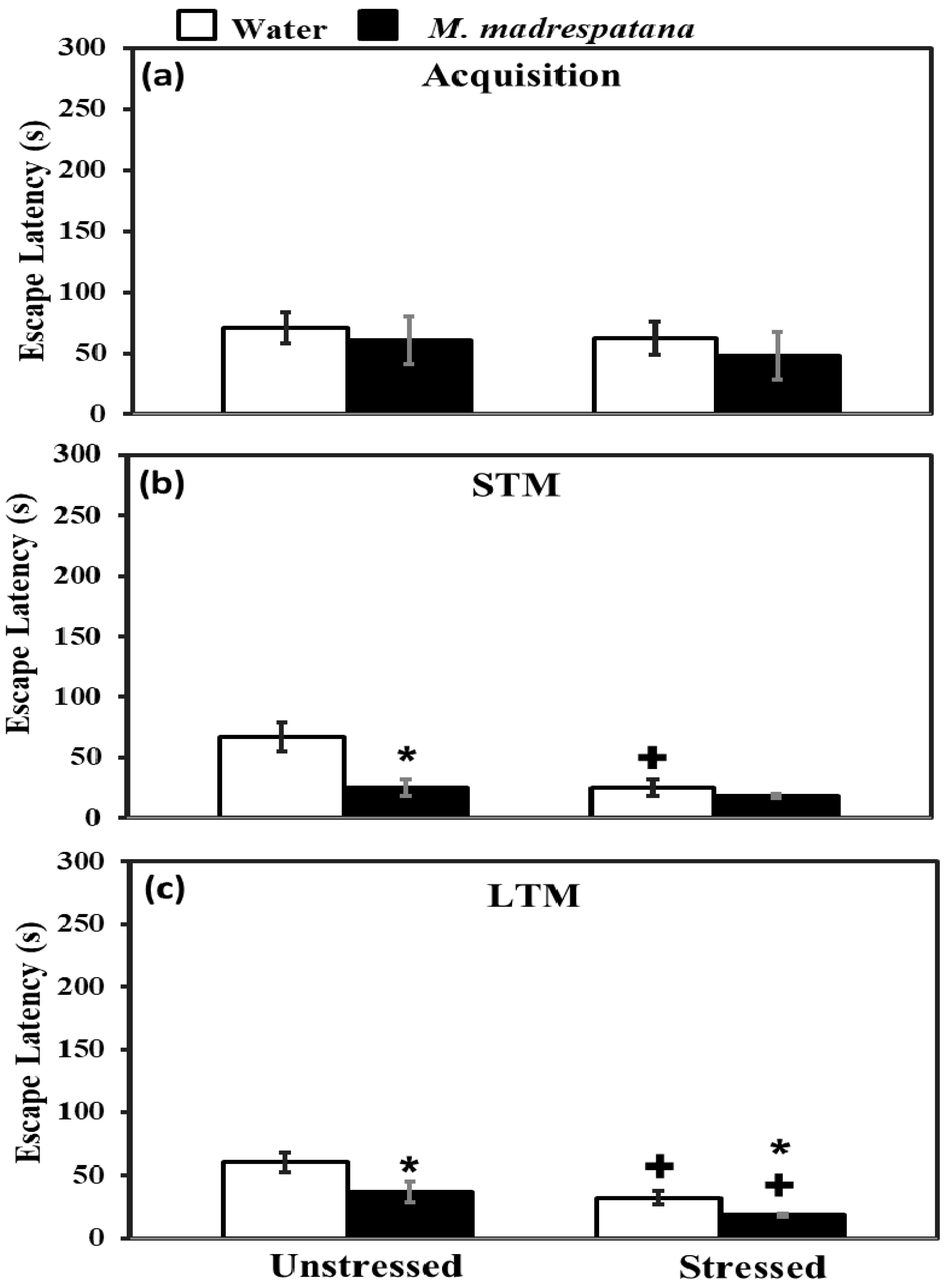 Medicina 56 00350 g005 Medicina 56 00350 g005