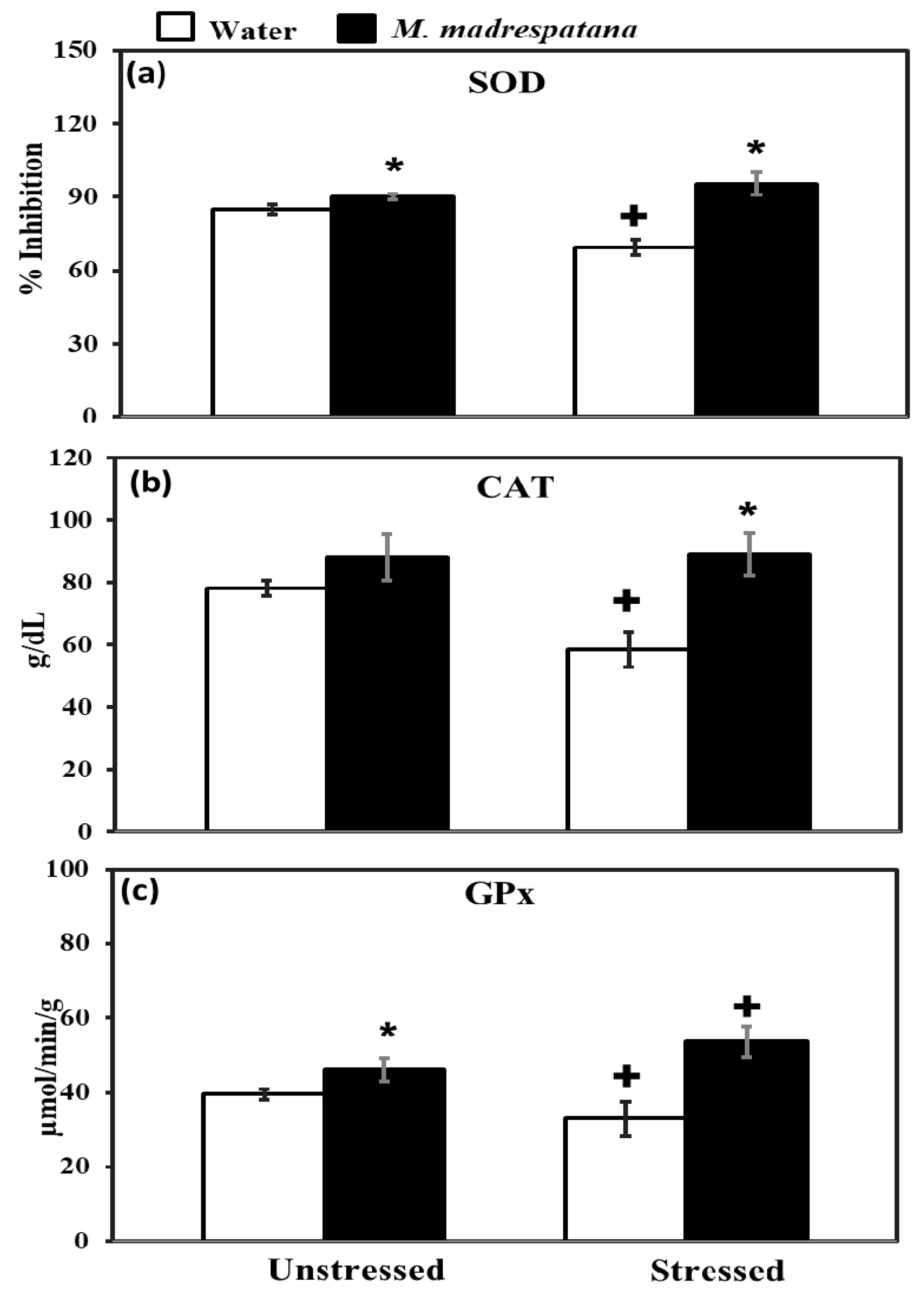 Medicina 56 00350 g007 Medicina 56 00350 g007