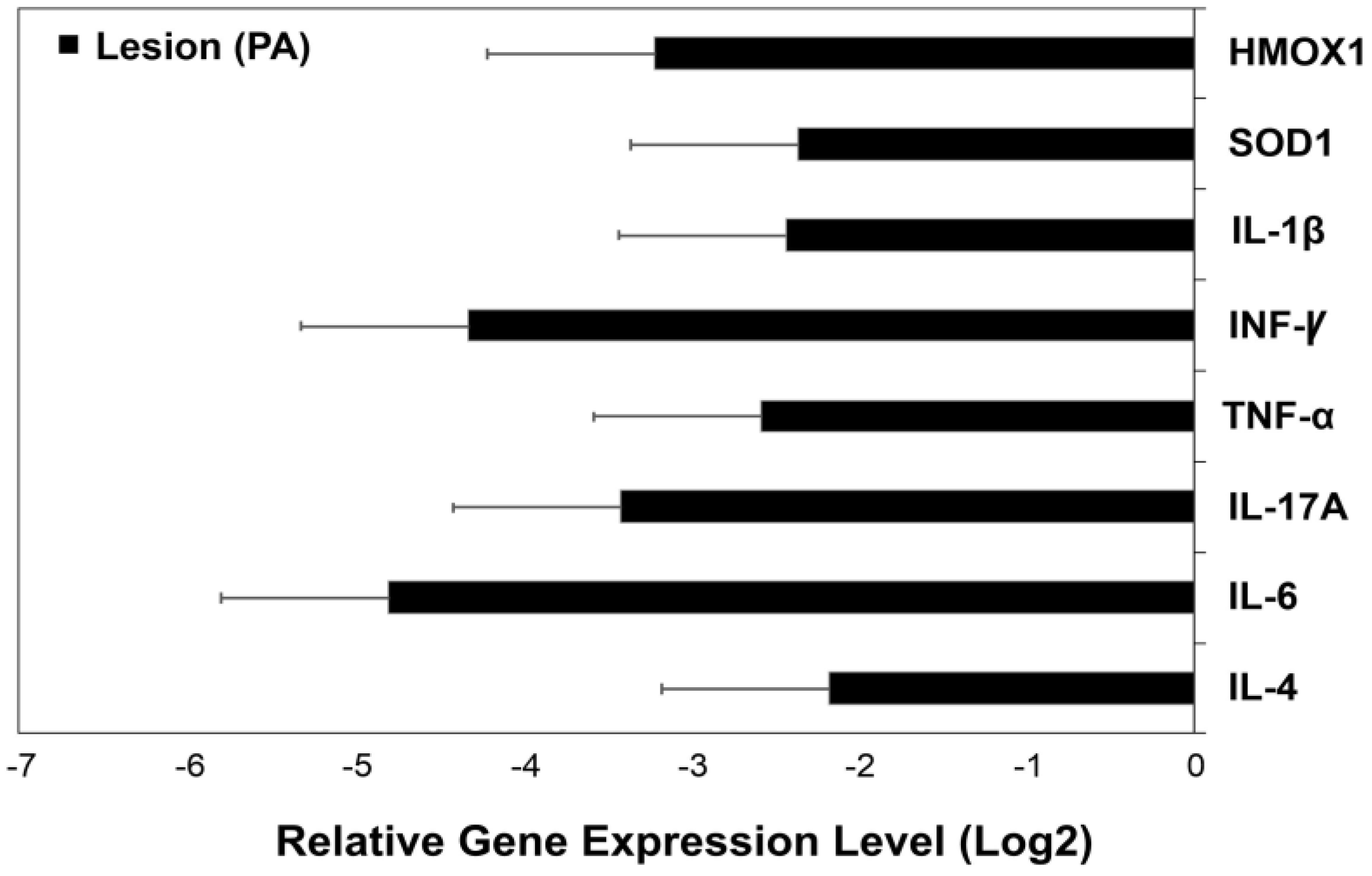 Medicina 56 00359 g002 Medicina 56 00359 g002