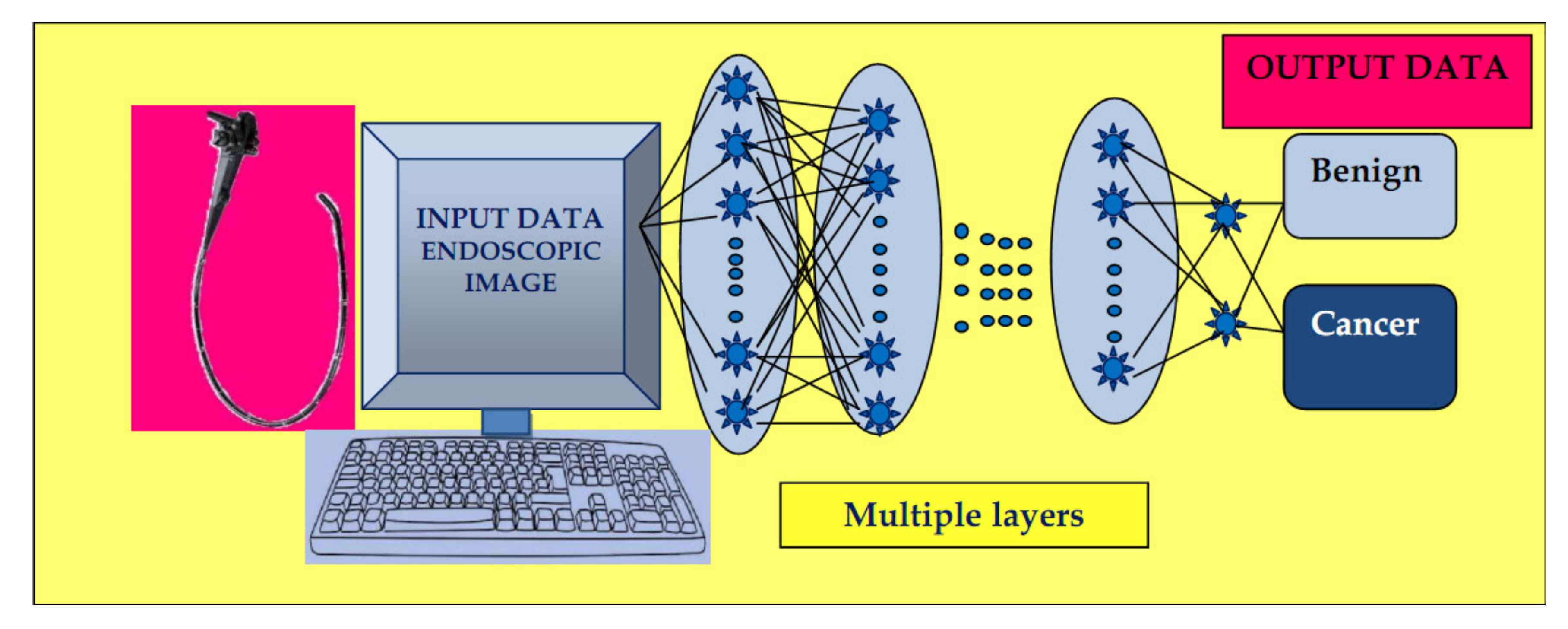 Medicina 56 00364 g002 Medicina 56 00364 g002