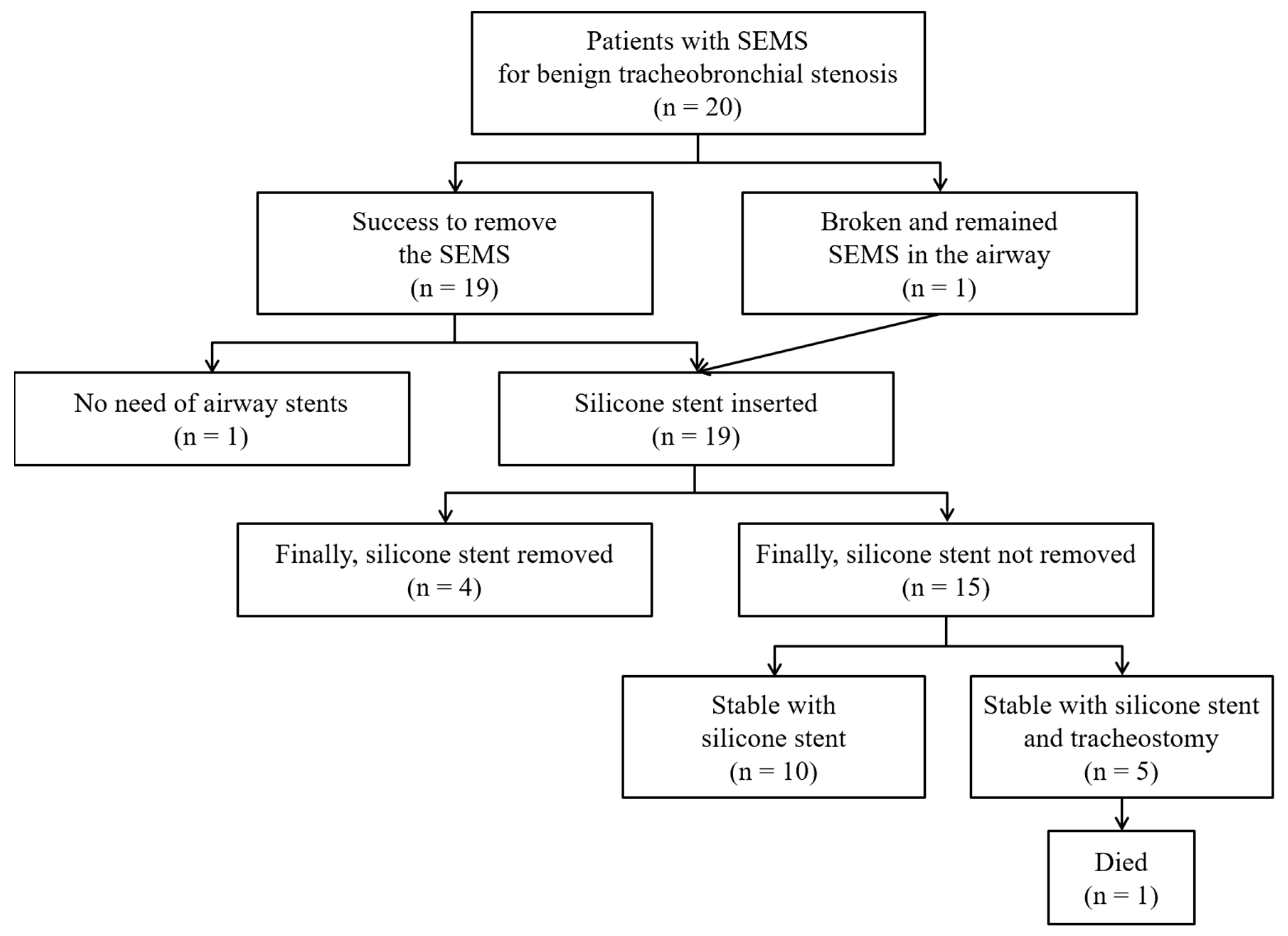 Medicina 56 00367 g001