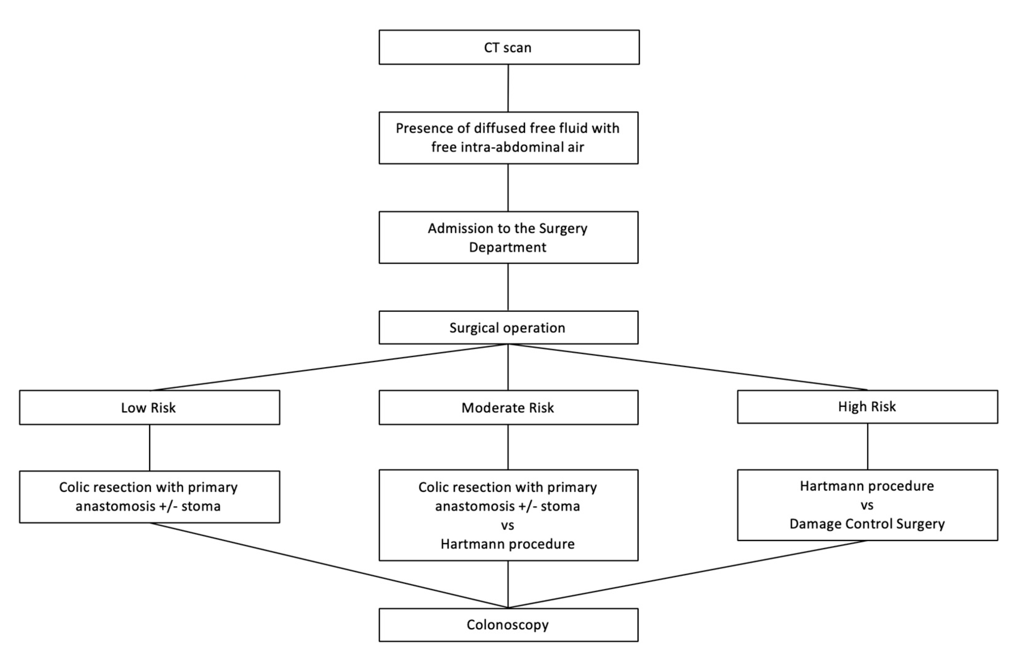Medicina 56 00371 g007