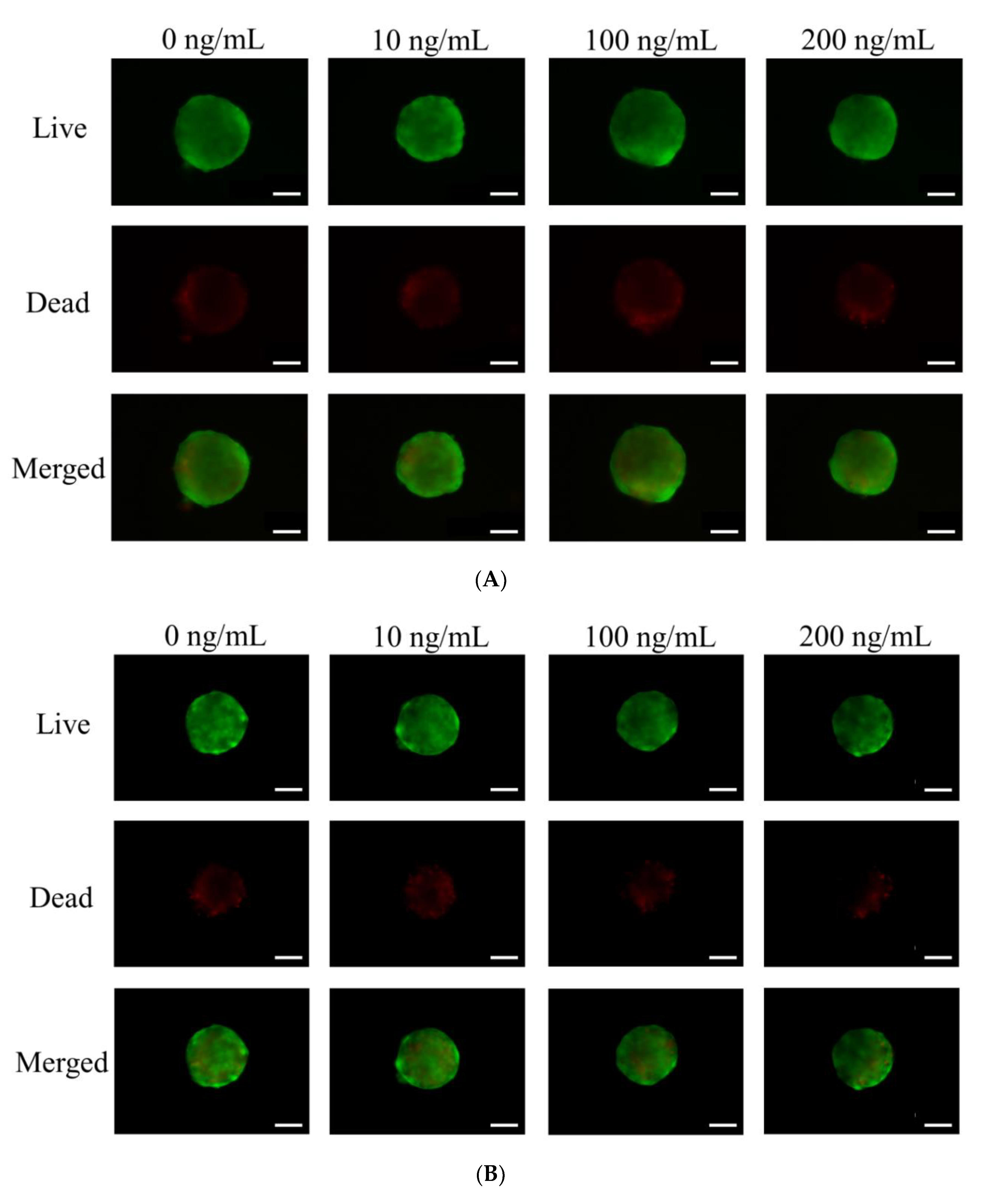 Medicina 56 00389 g003a