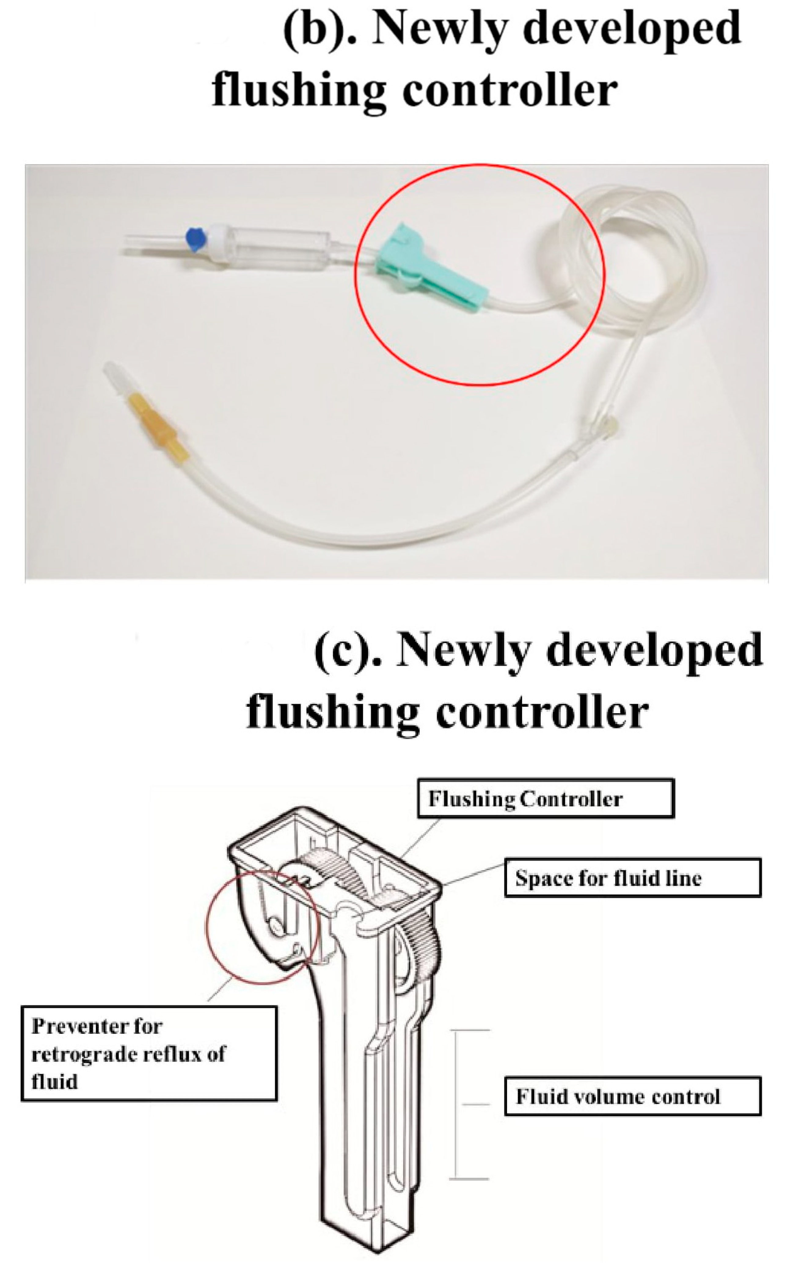 Medicina 56 00393 g001b Medicina 56 00393 g001b