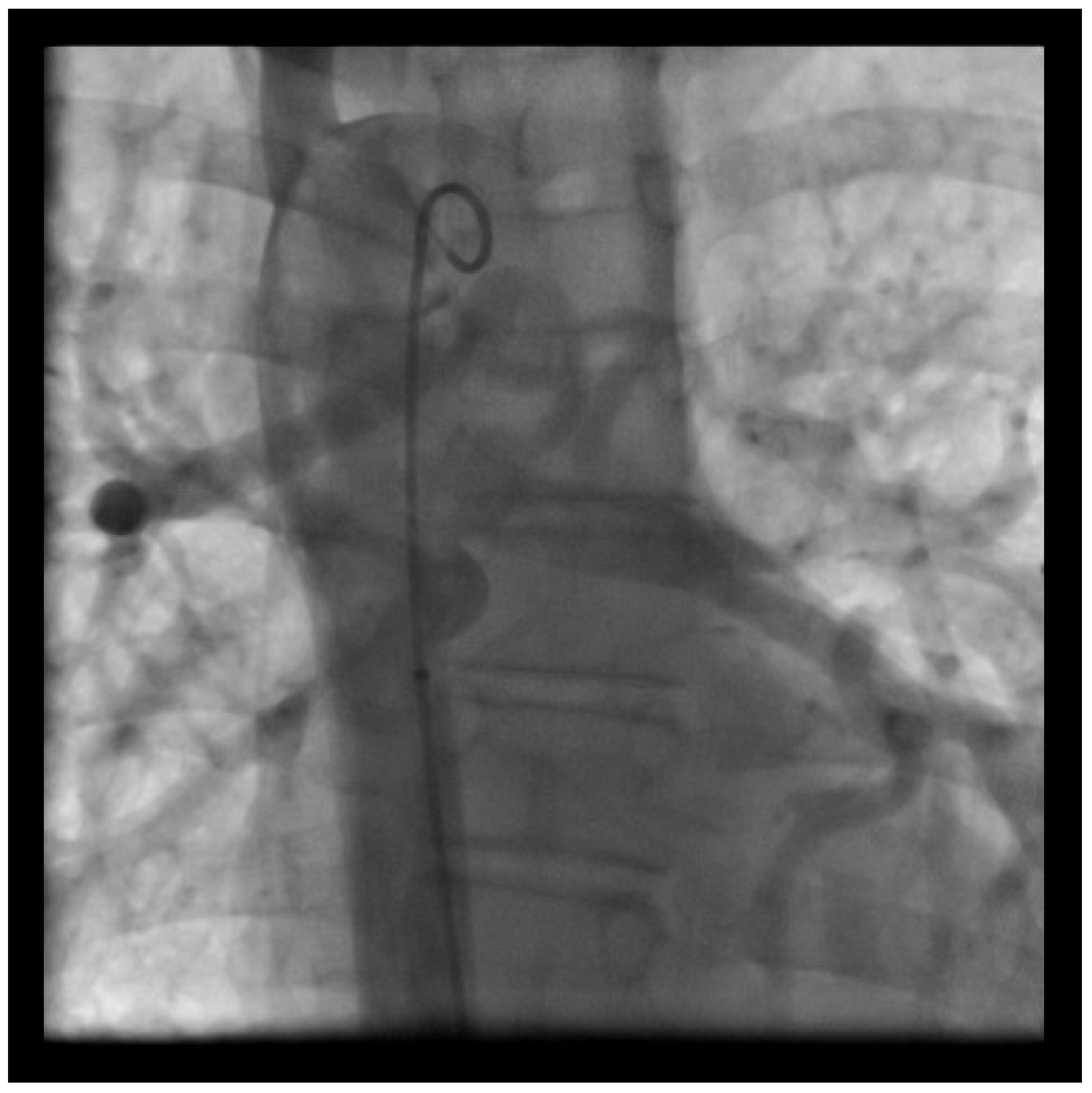 Medicina 56 00420 g002 Medicina 56 00420 g002