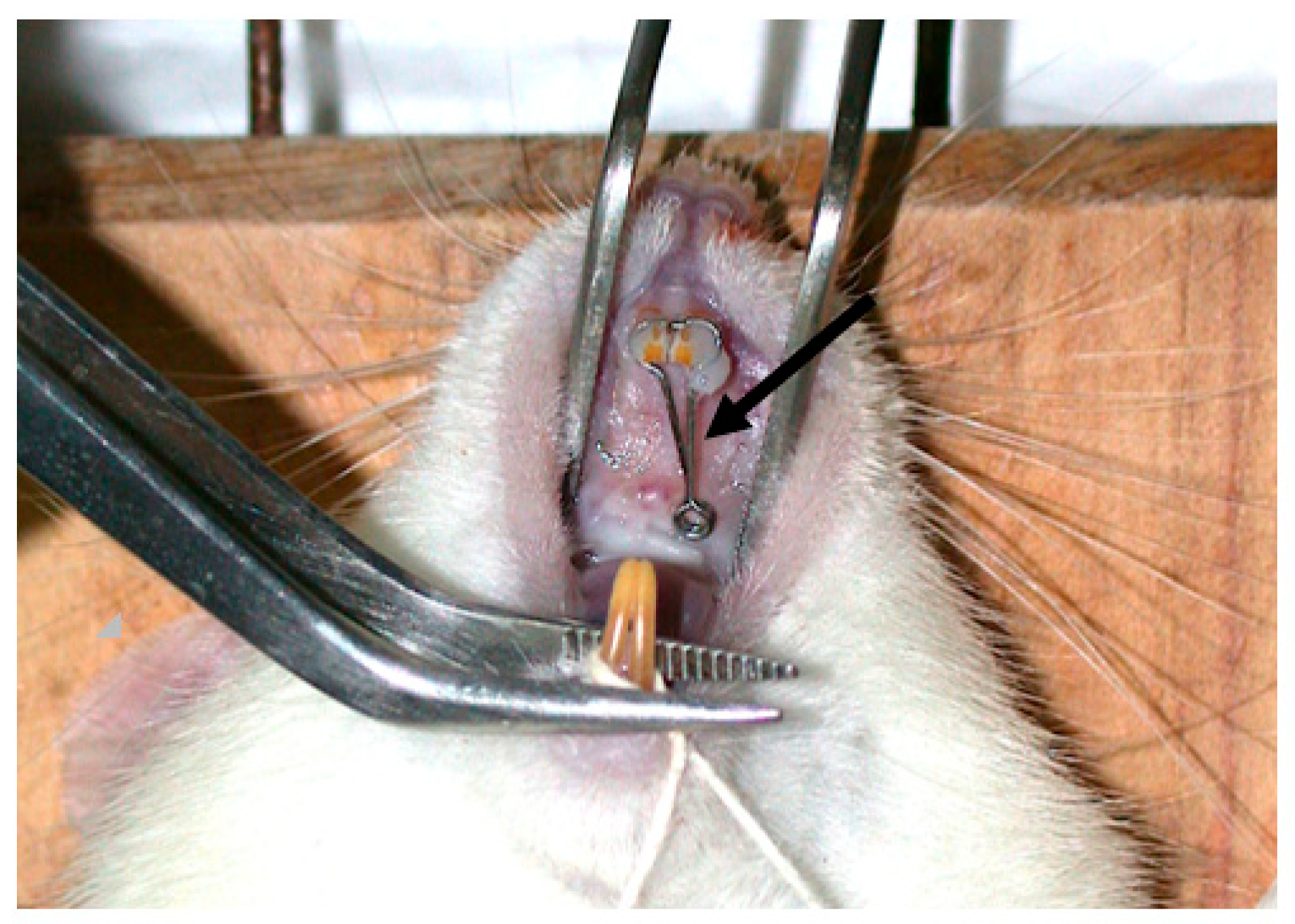 Medicina 56 00421 g001