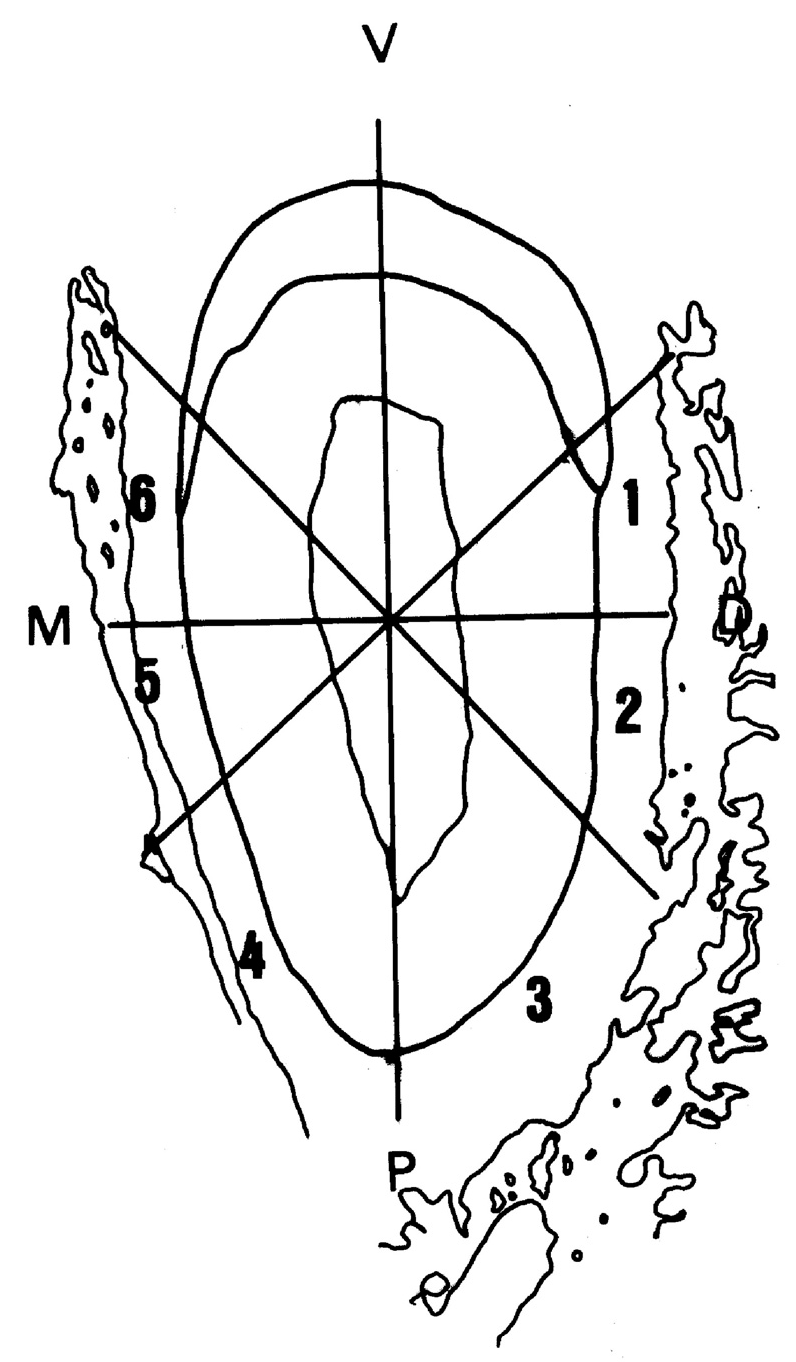 Medicina 56 00421 g002