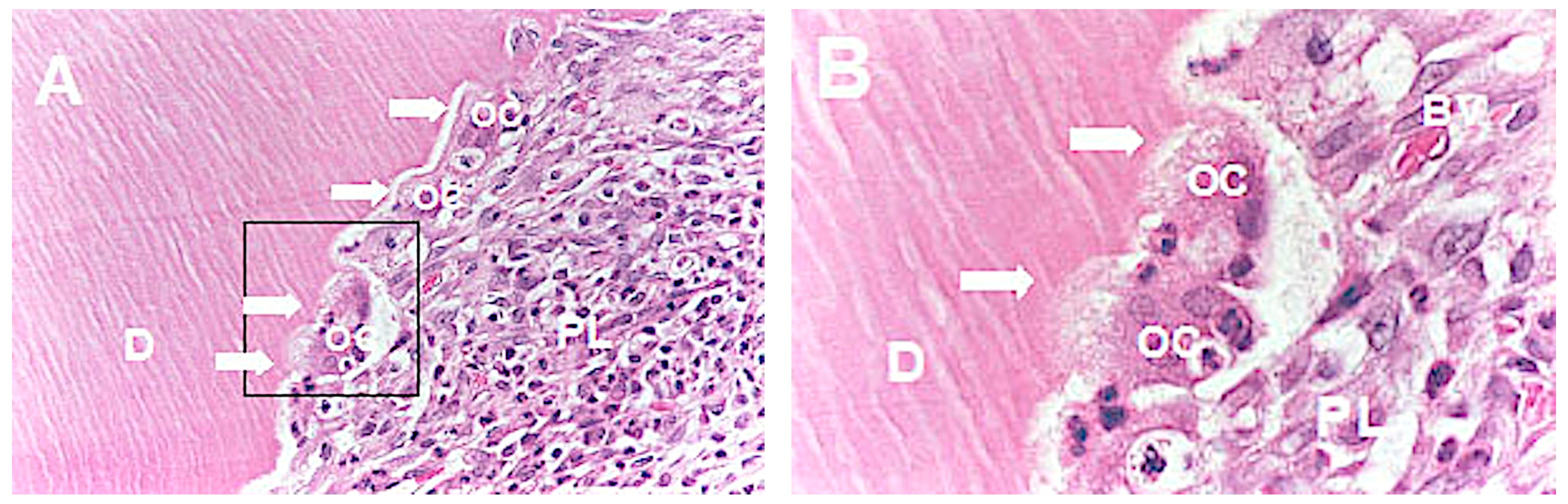 Medicina 56 00421 g004