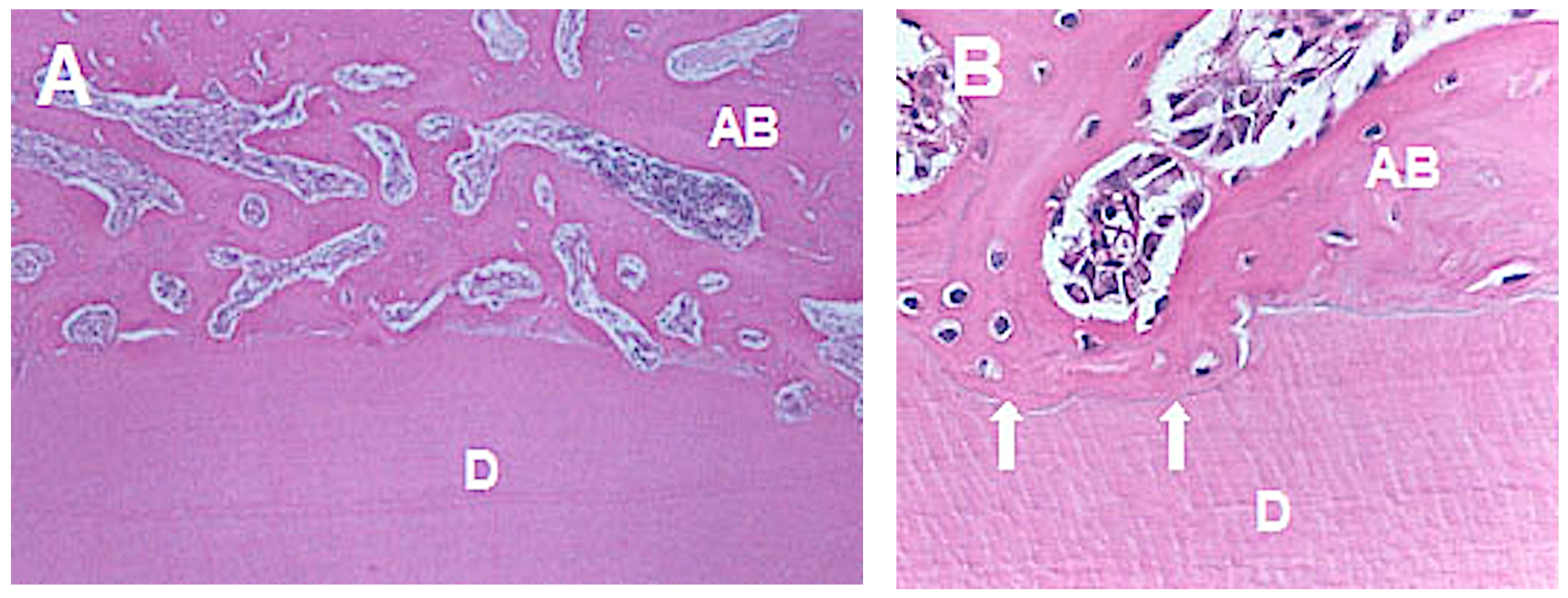 Medicina 56 00421 g005