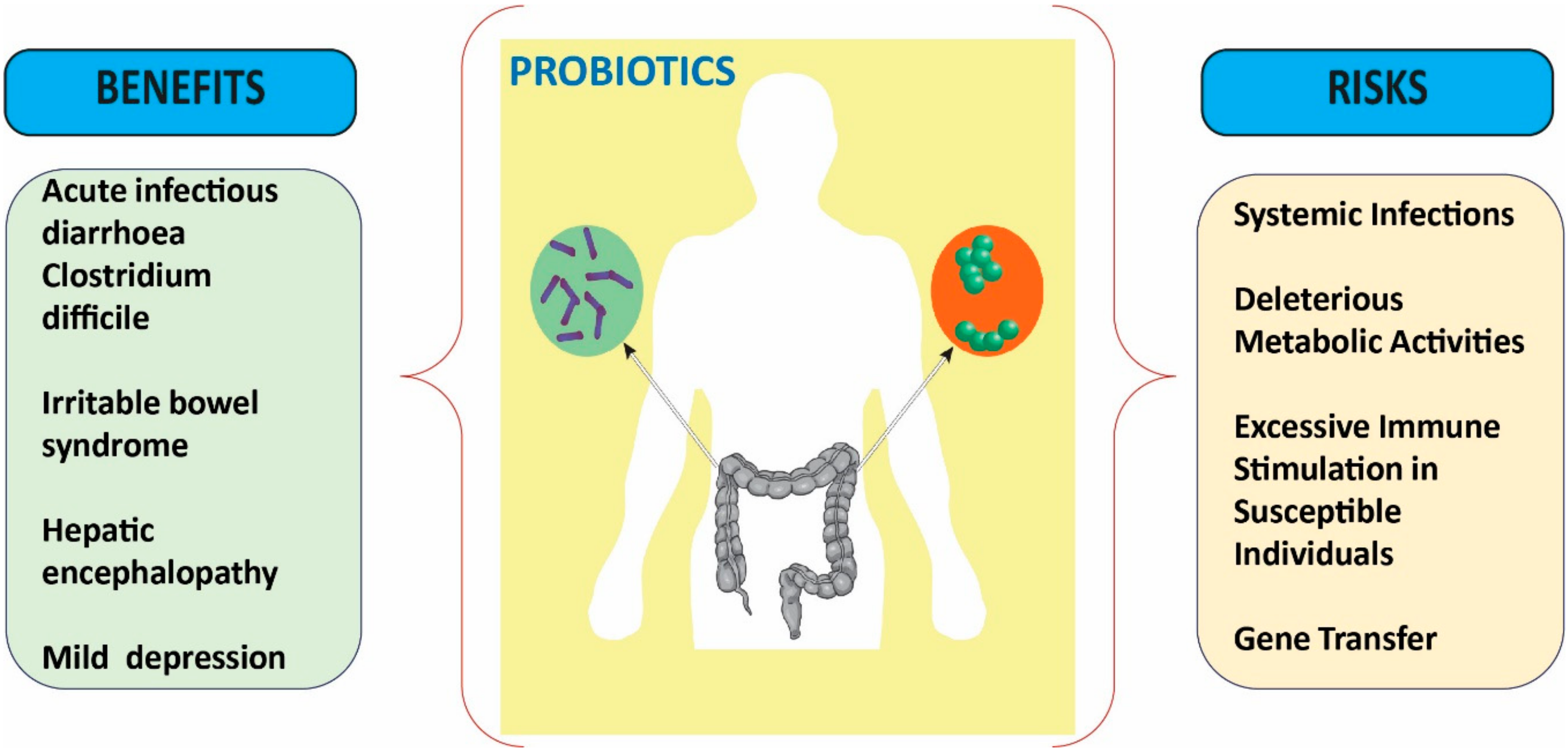 Medicina 56 00433 g003