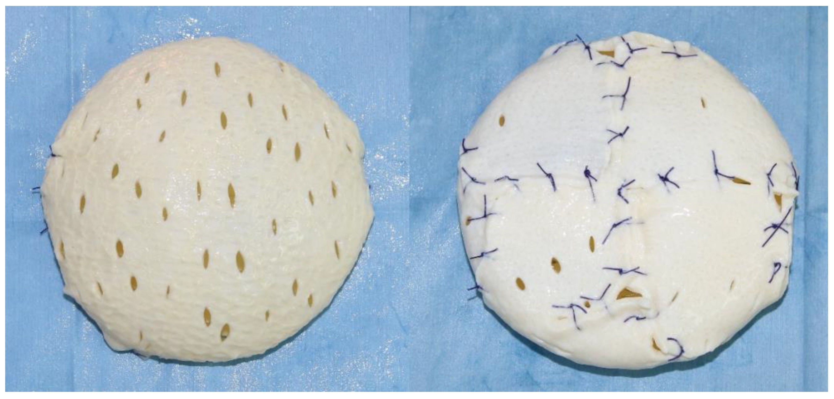 Medicina 56 00537 g001 Medicina 56 00537 g001