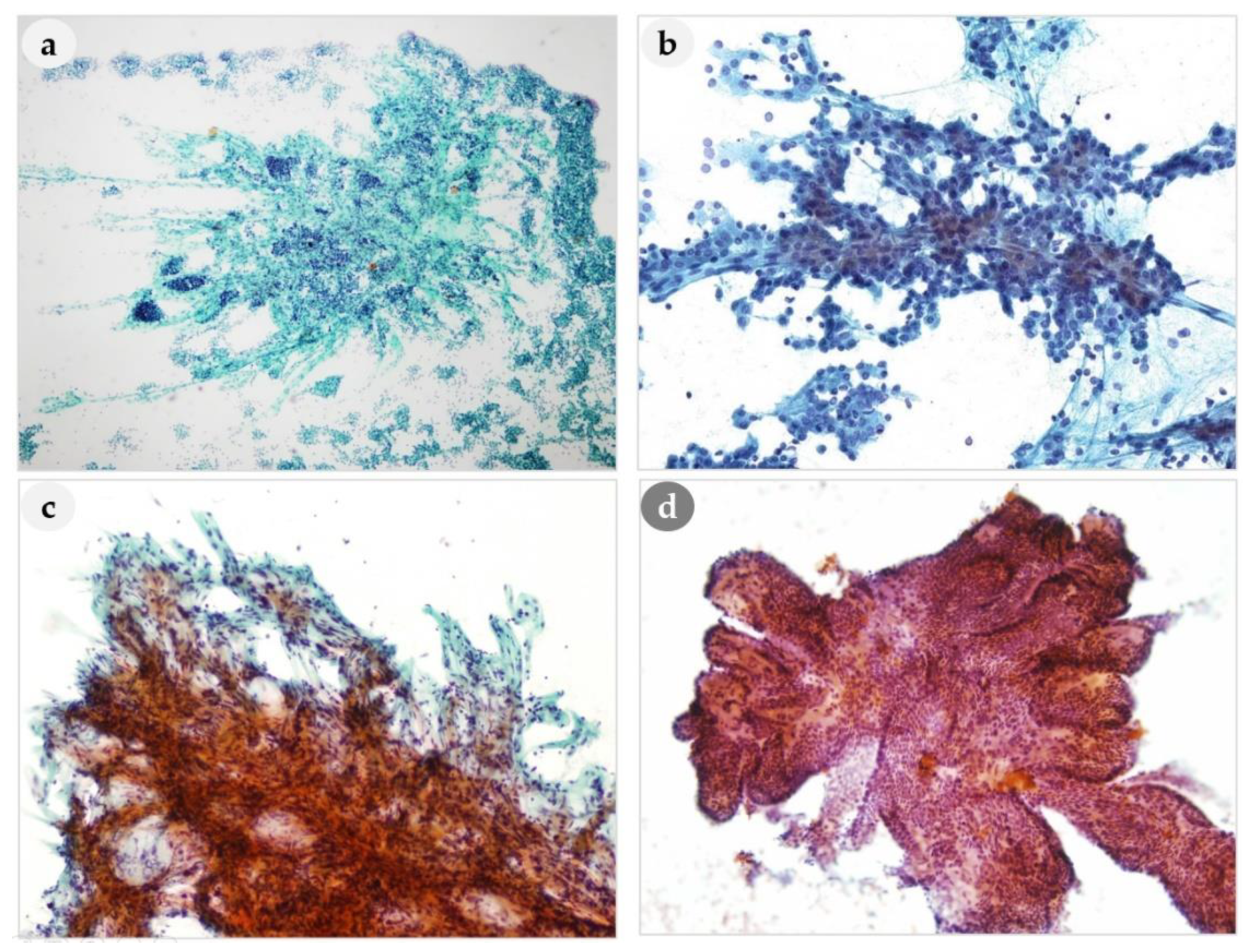Medicina 56 00558 g002