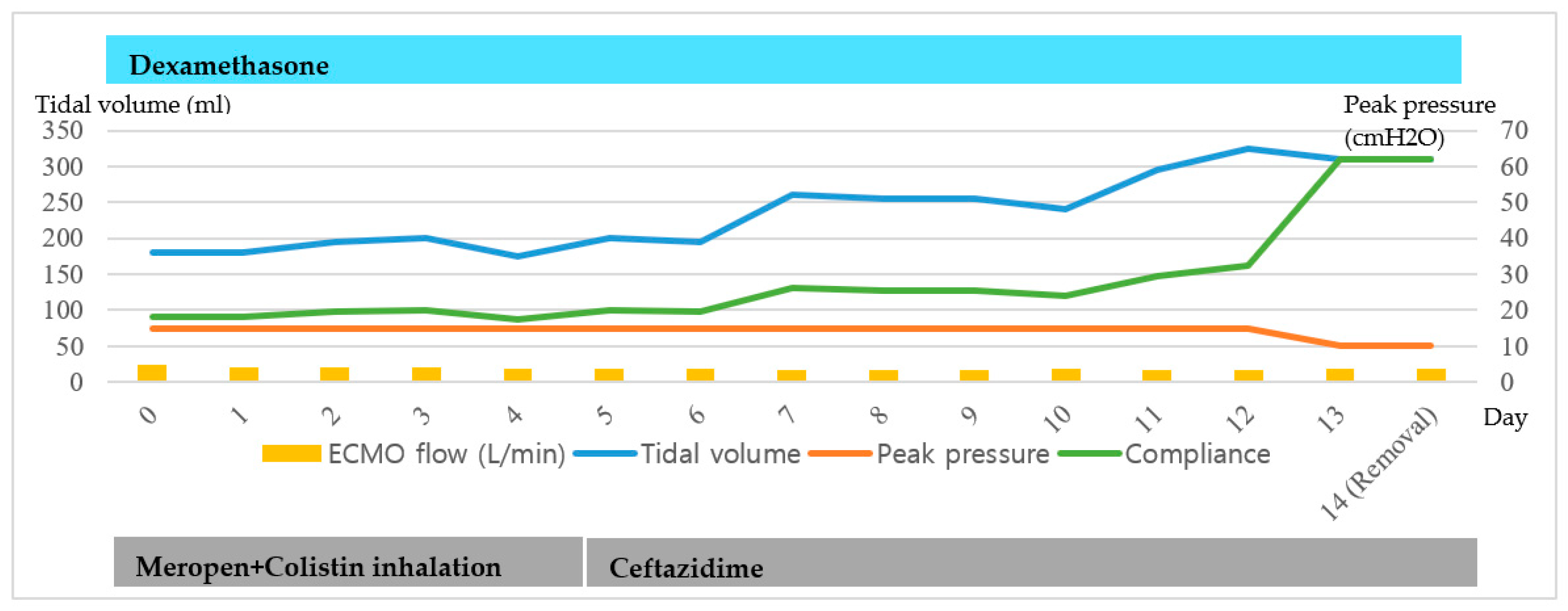Medicina 56 00570 g001