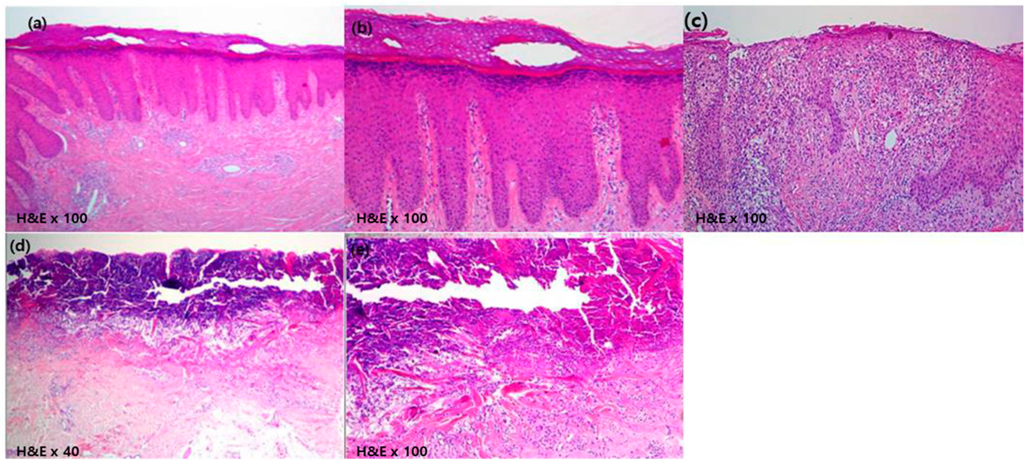 Medicina 56 00599 g002 Medicina 56 00599 g002
