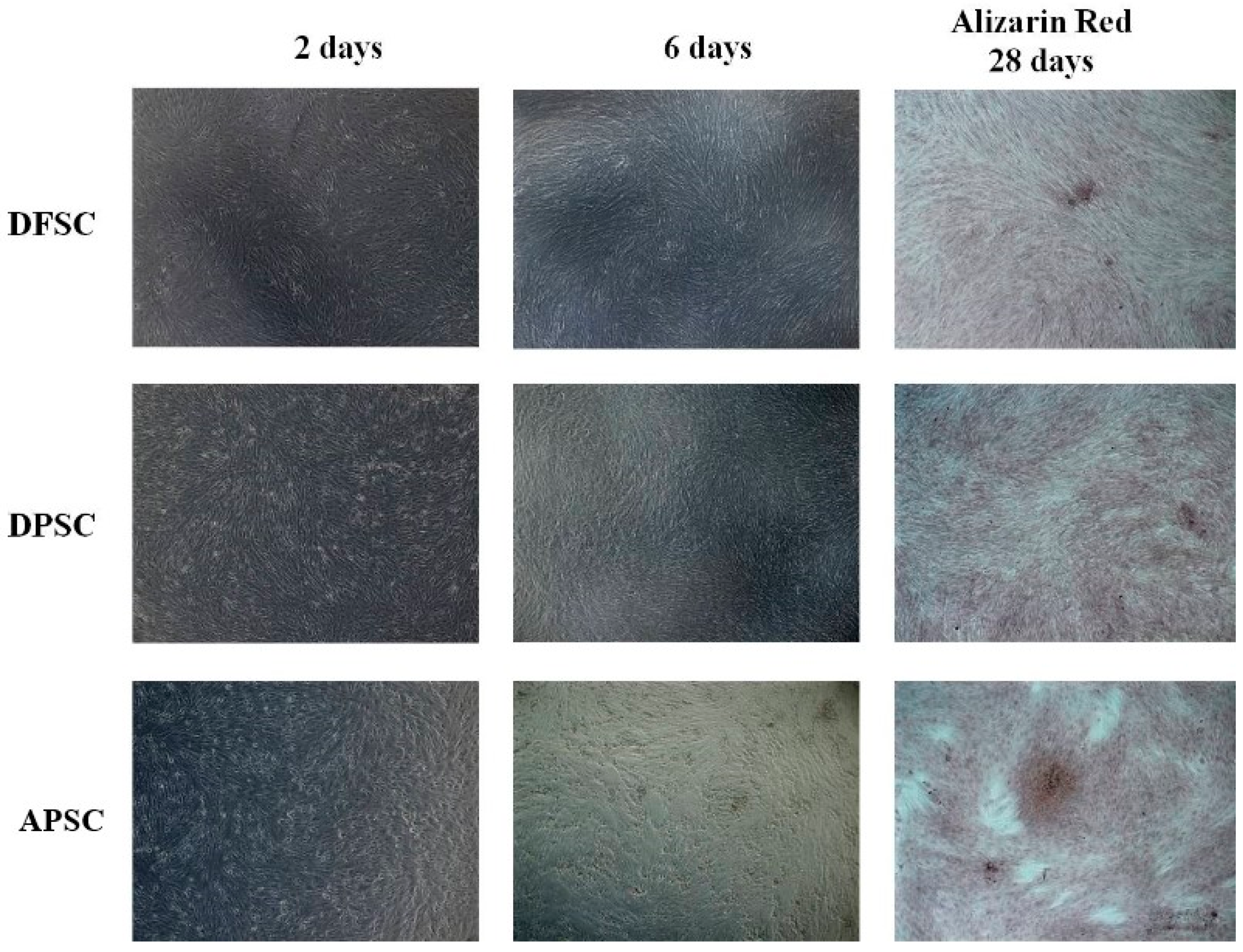 Medicina 56 00607 g003