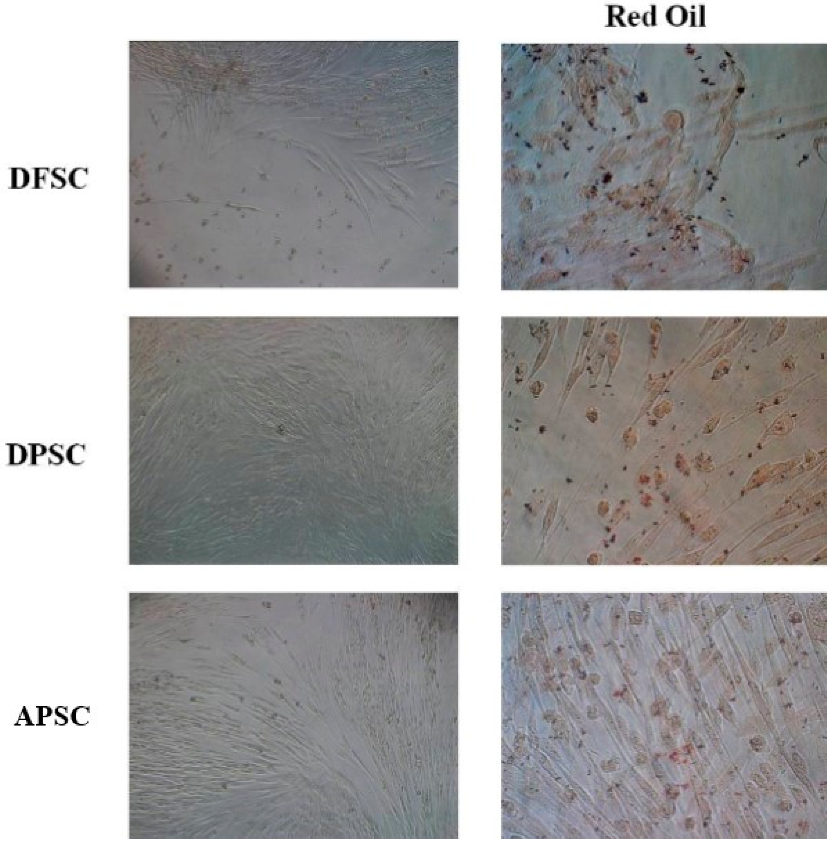 Medicina 56 00607 g006