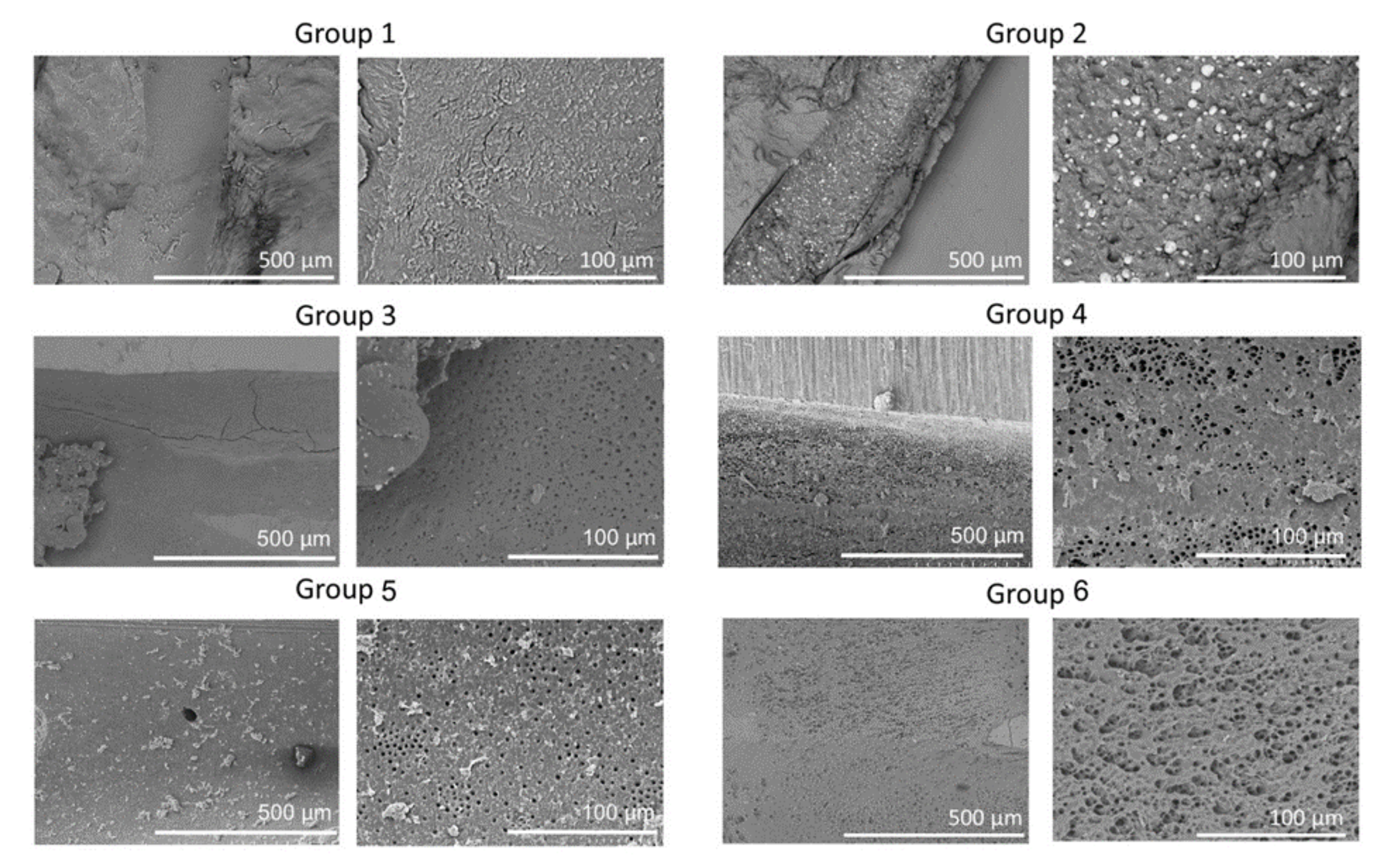 Medicina 56 00615 g002