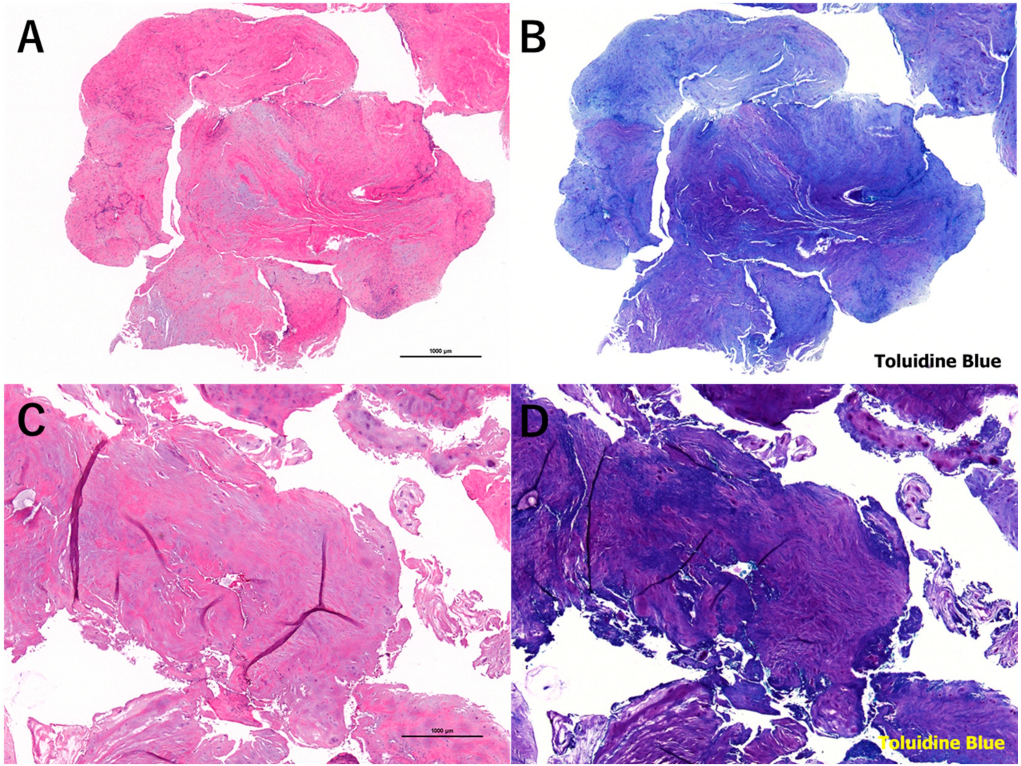 Medicina 56 00627 g008