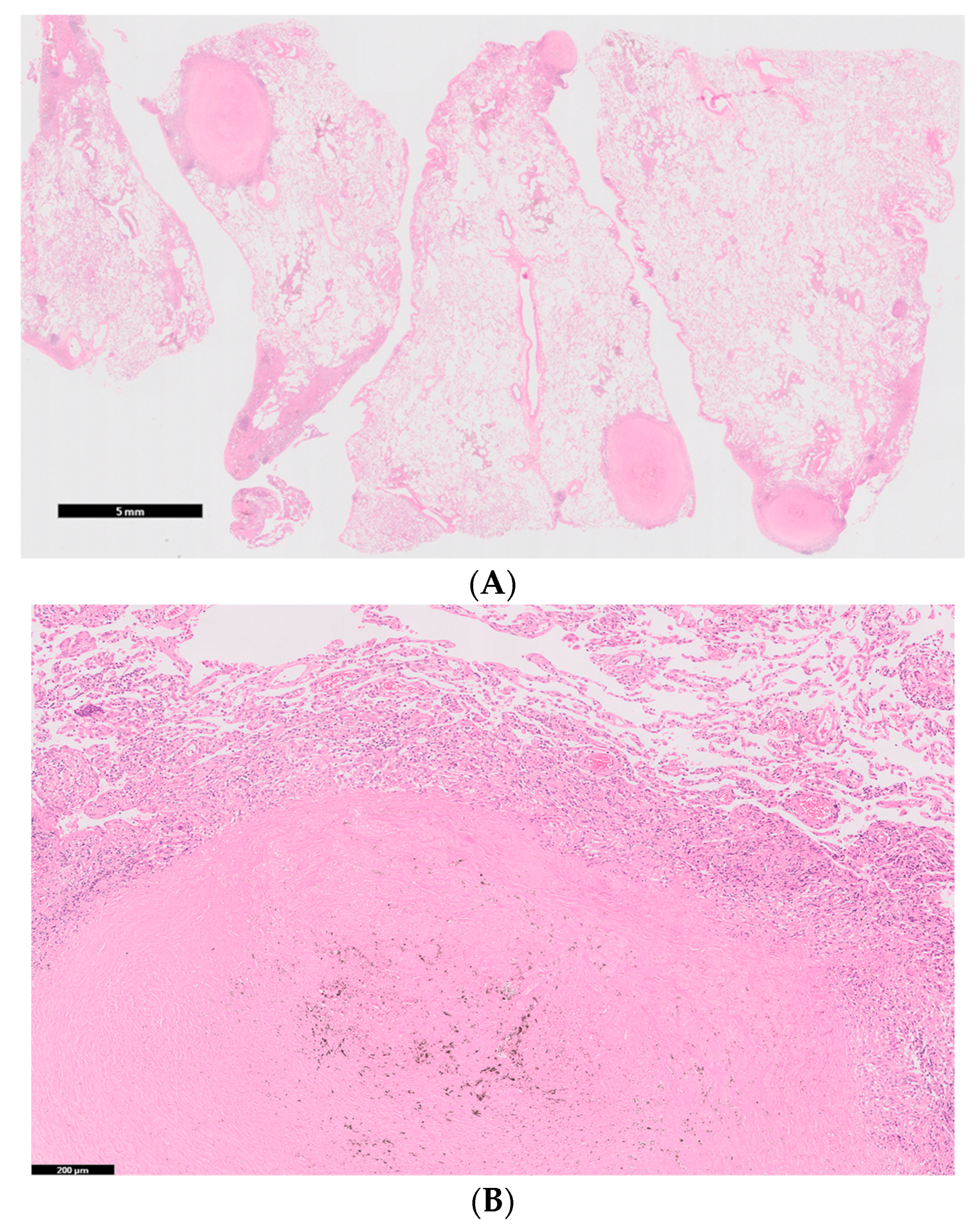 Medicina 56 00630 g003a Medicina 56 00630 g003a