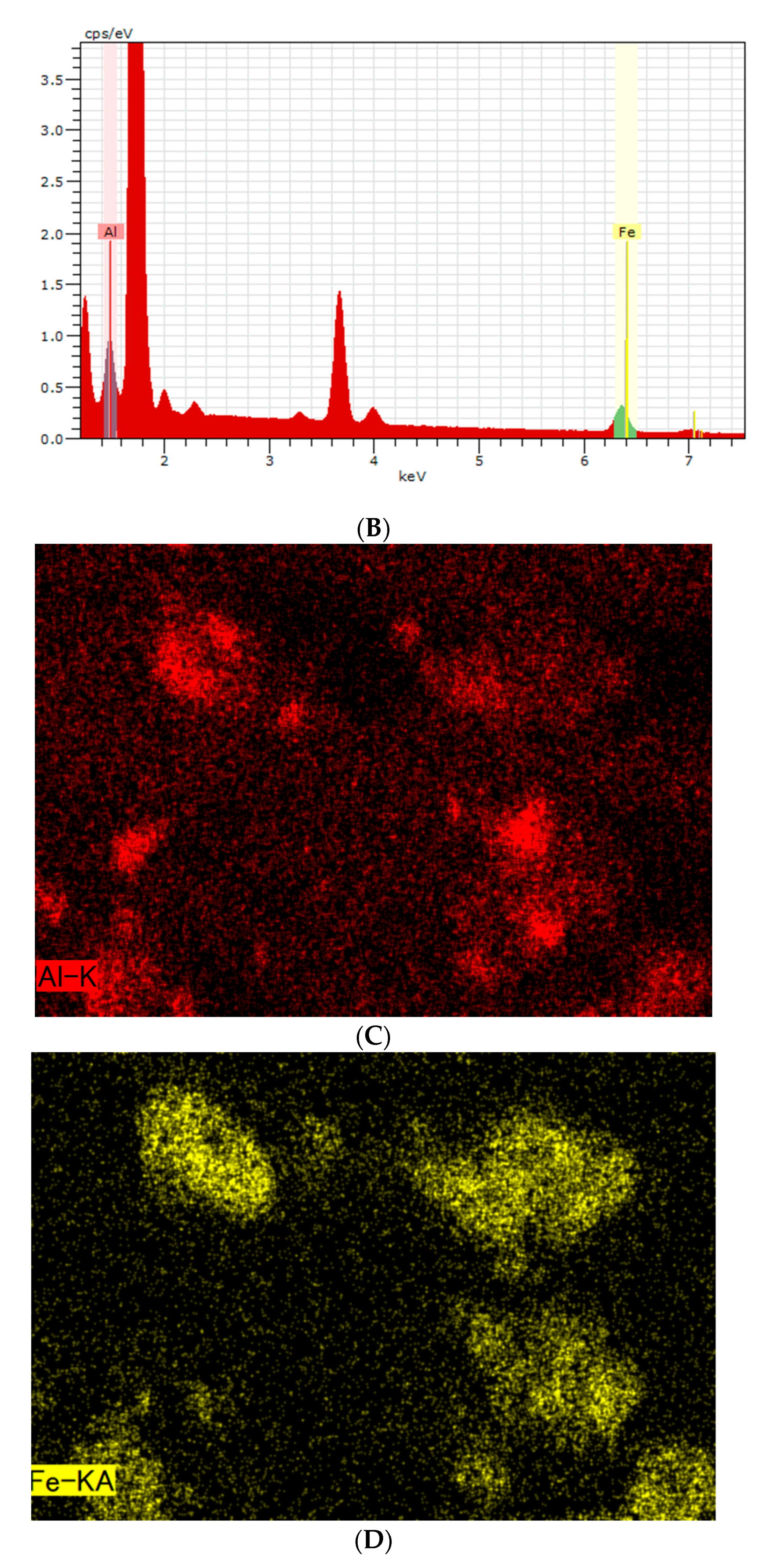 Medicina 56 00630 g004b Medicina 56 00630 g004b