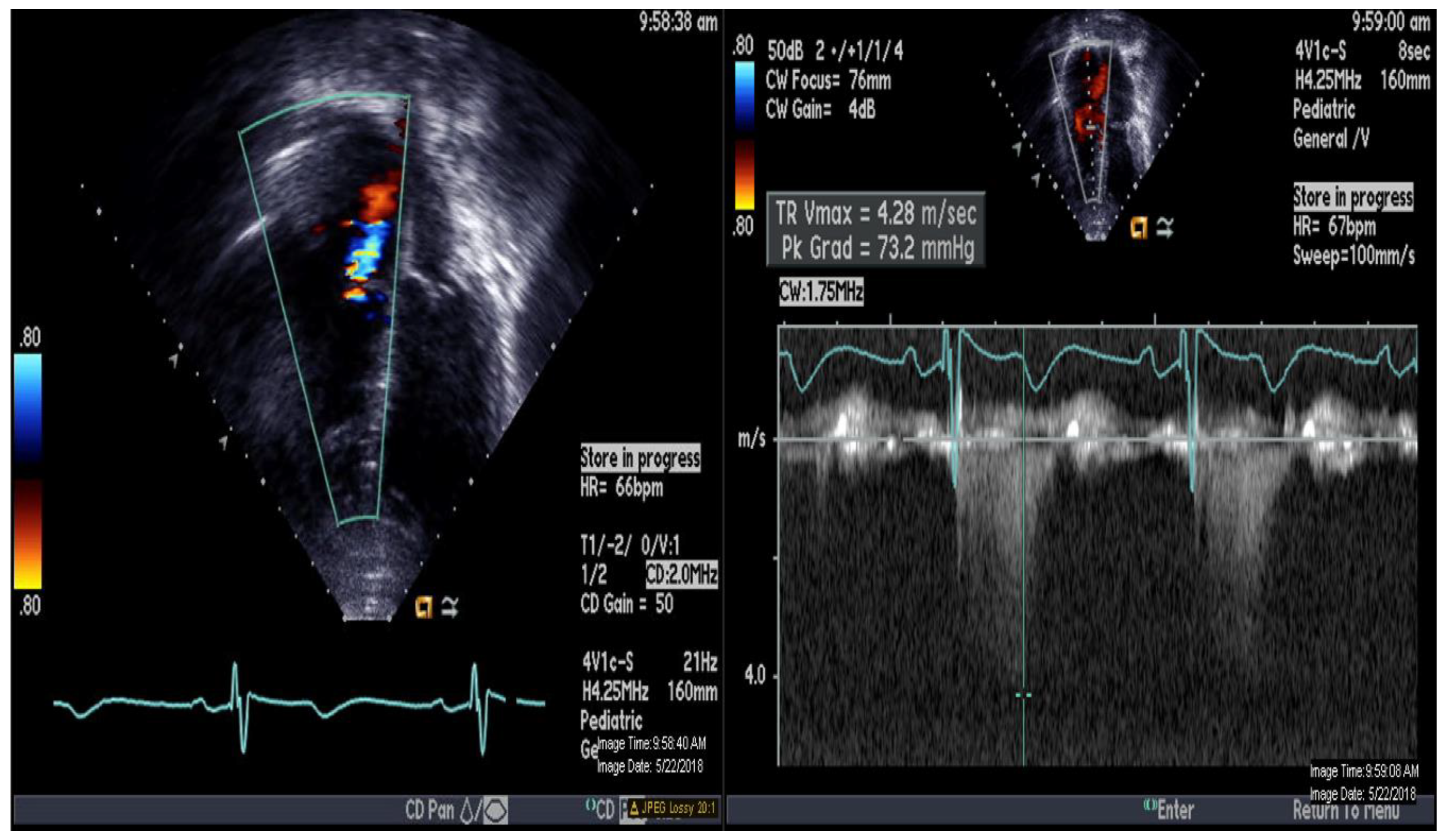 Medicina 56 00636 g001 Medicina 56 00636 g001